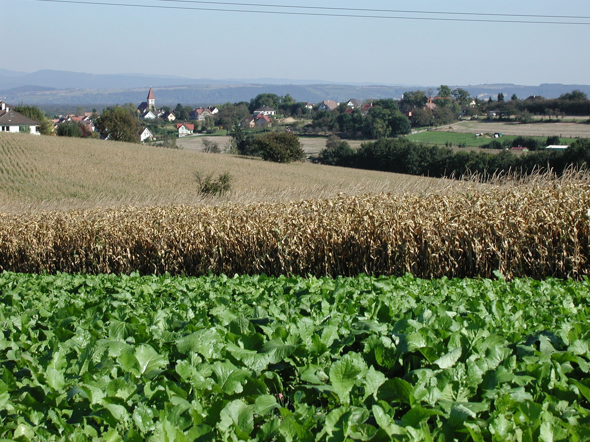 2003 village collines