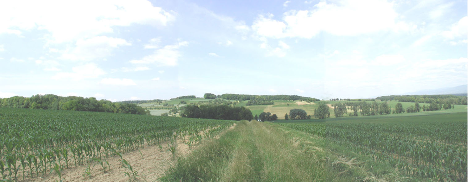 2004 Bas Sundgau (3)