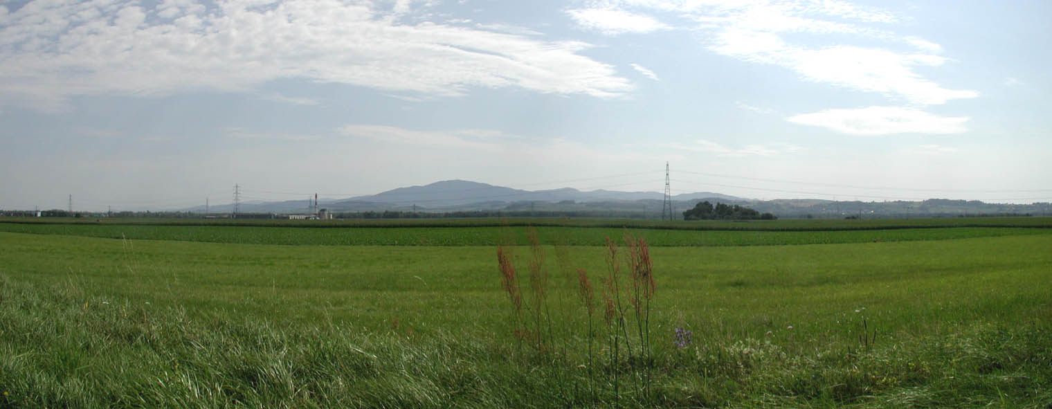 2004 Bas Sundgau hardt agricole (10)