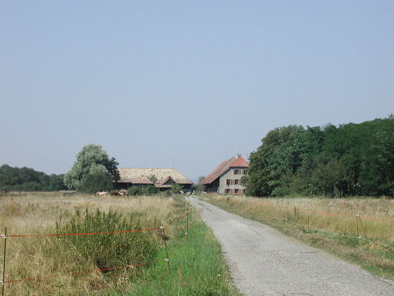 2004 Ferme