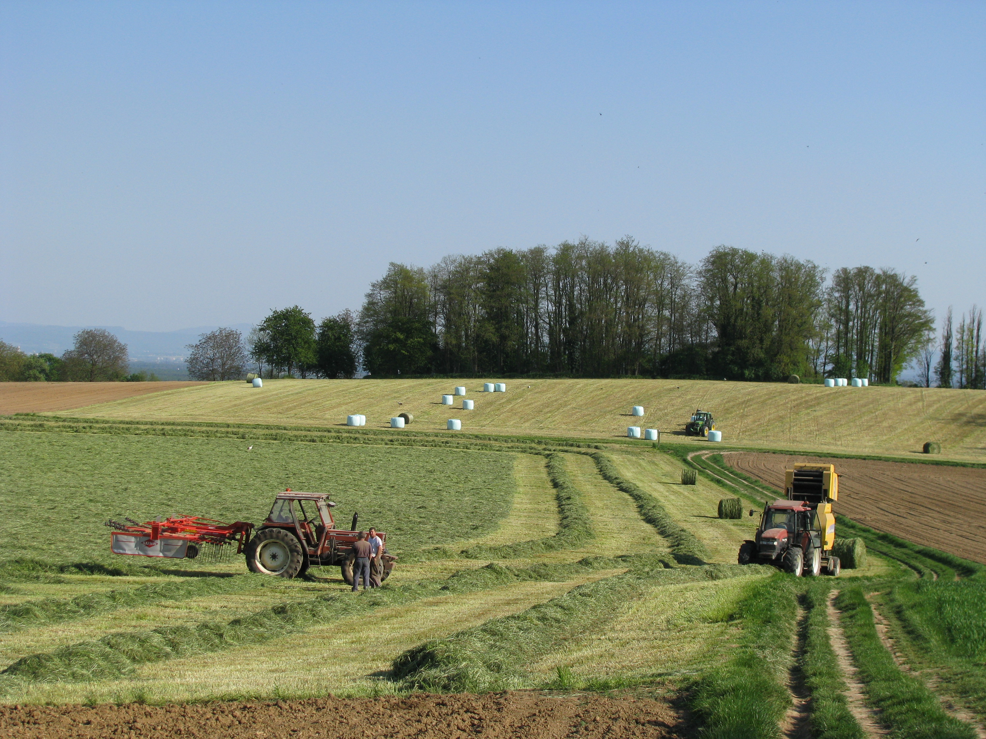 2008 Sundgau Agriculture