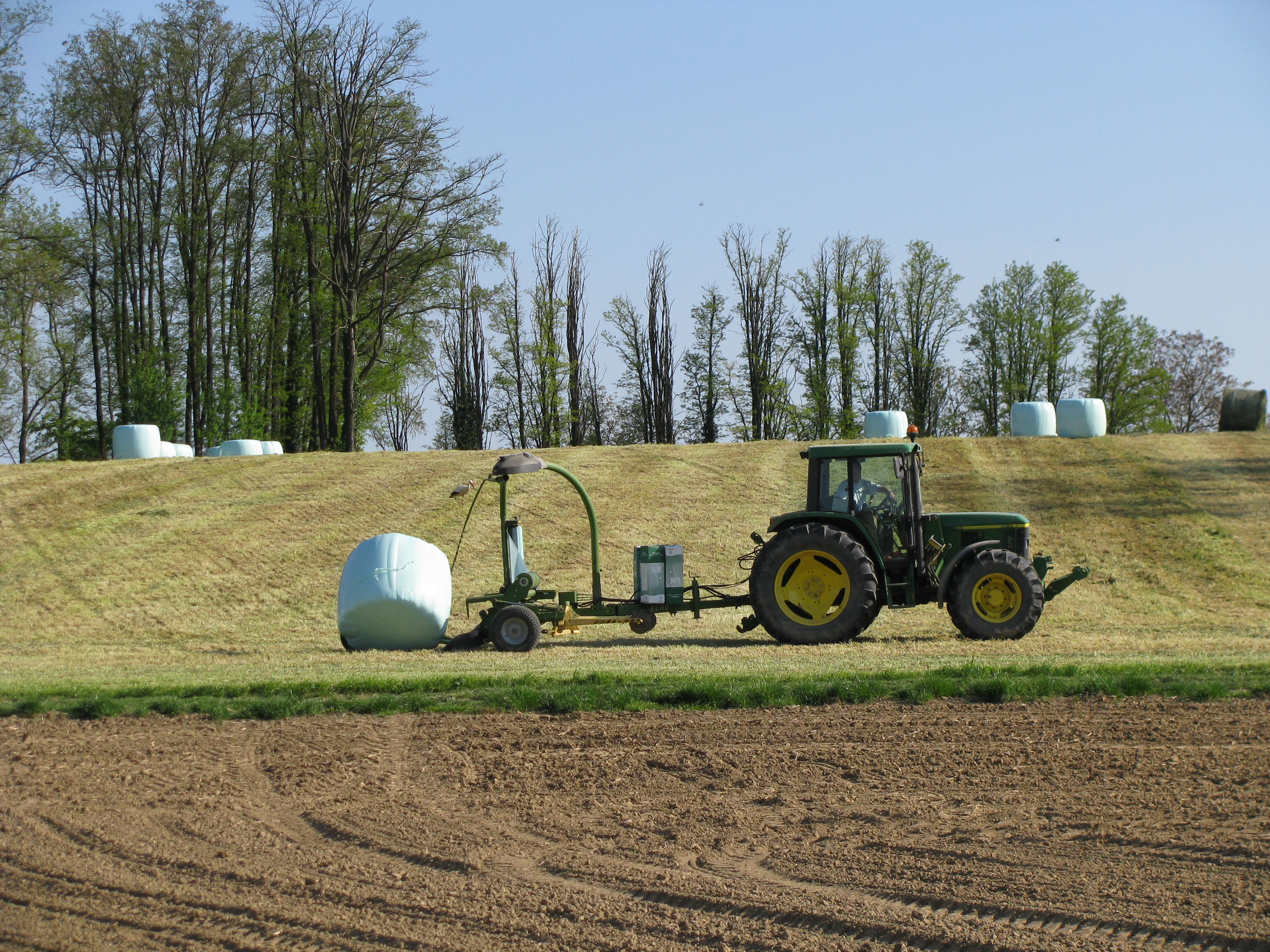 2008 Sundgau Agriculture1