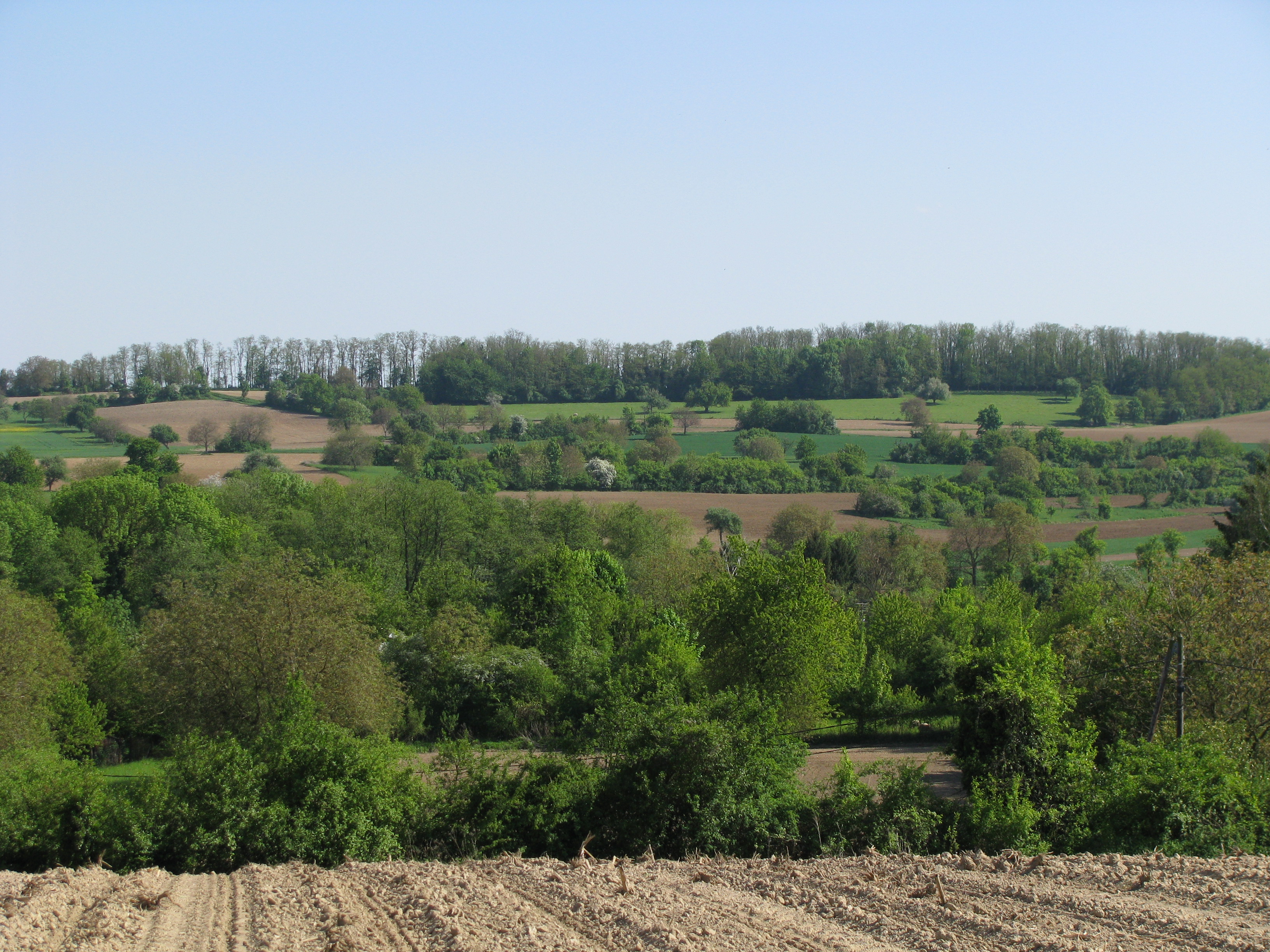 2008 Sundgau Paysage