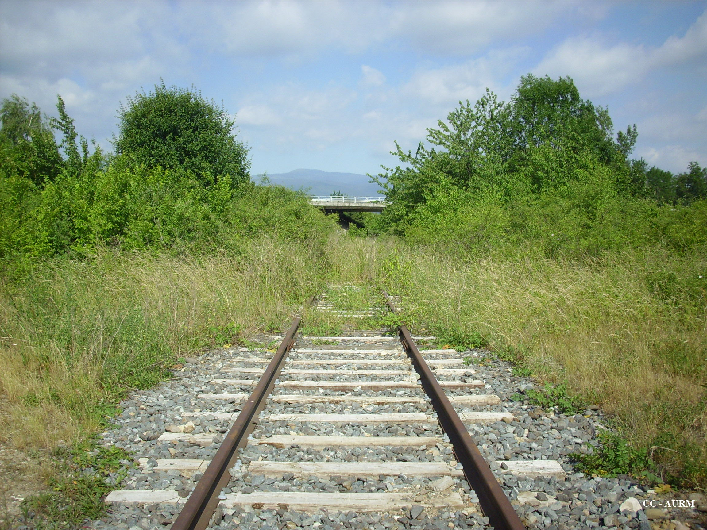 2009 Feldkirch Rail2