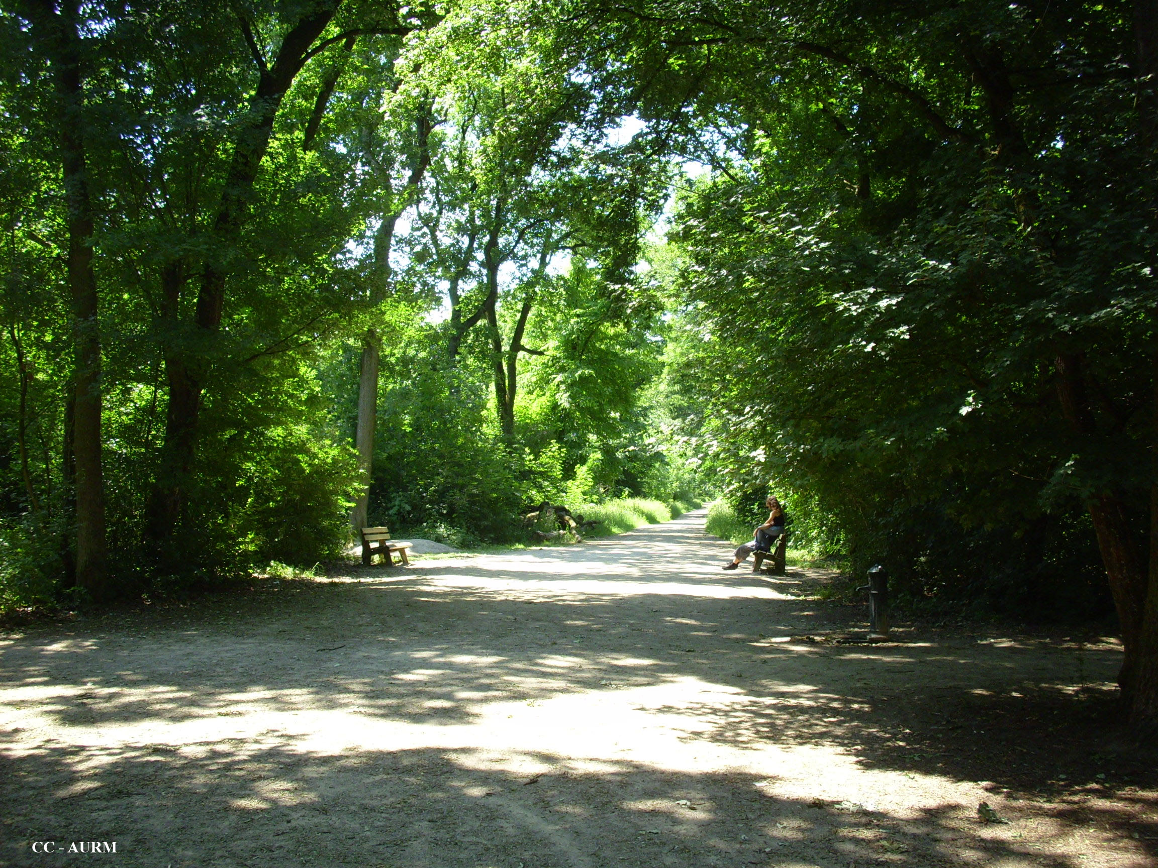 2009 Kingersheim BancsForêt