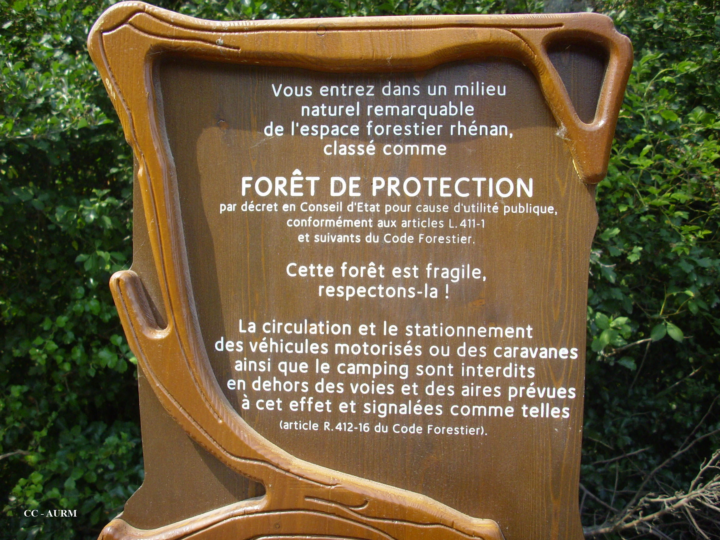 2009 Kingersheim ForêtDeProtection