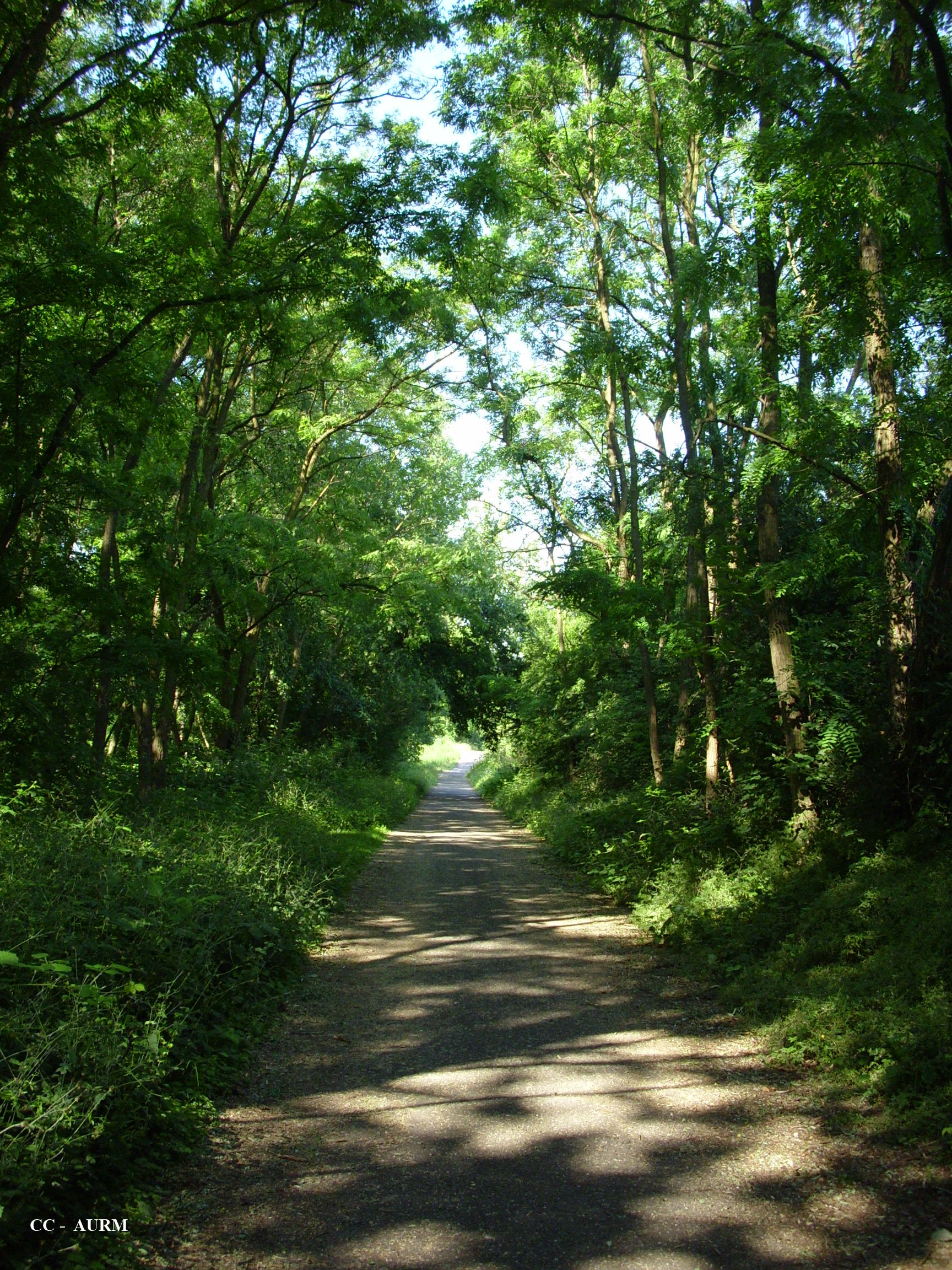 2009 Pfastatt CheminForestier