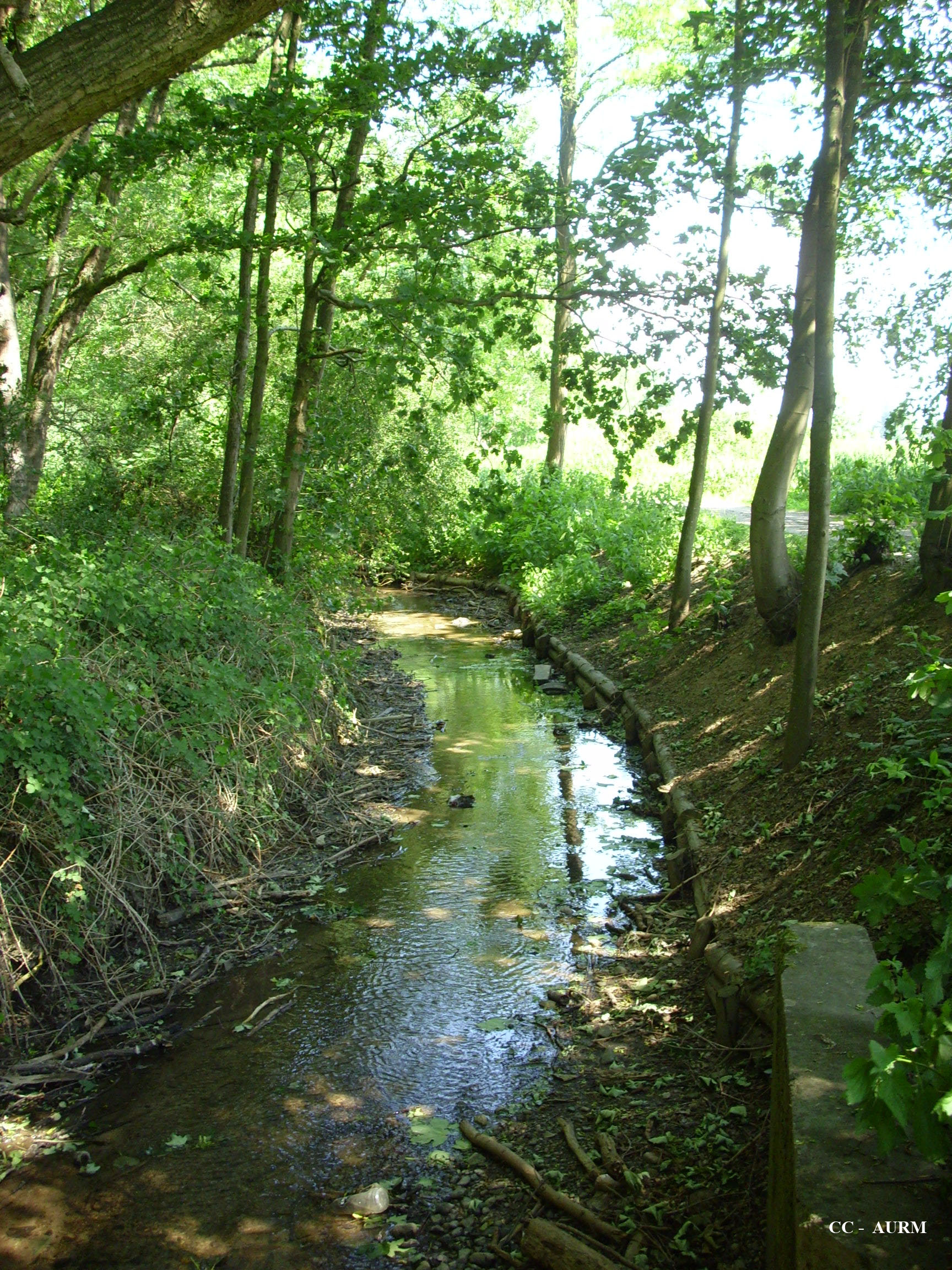 2009 Pfastatt RuisseauHagelbach