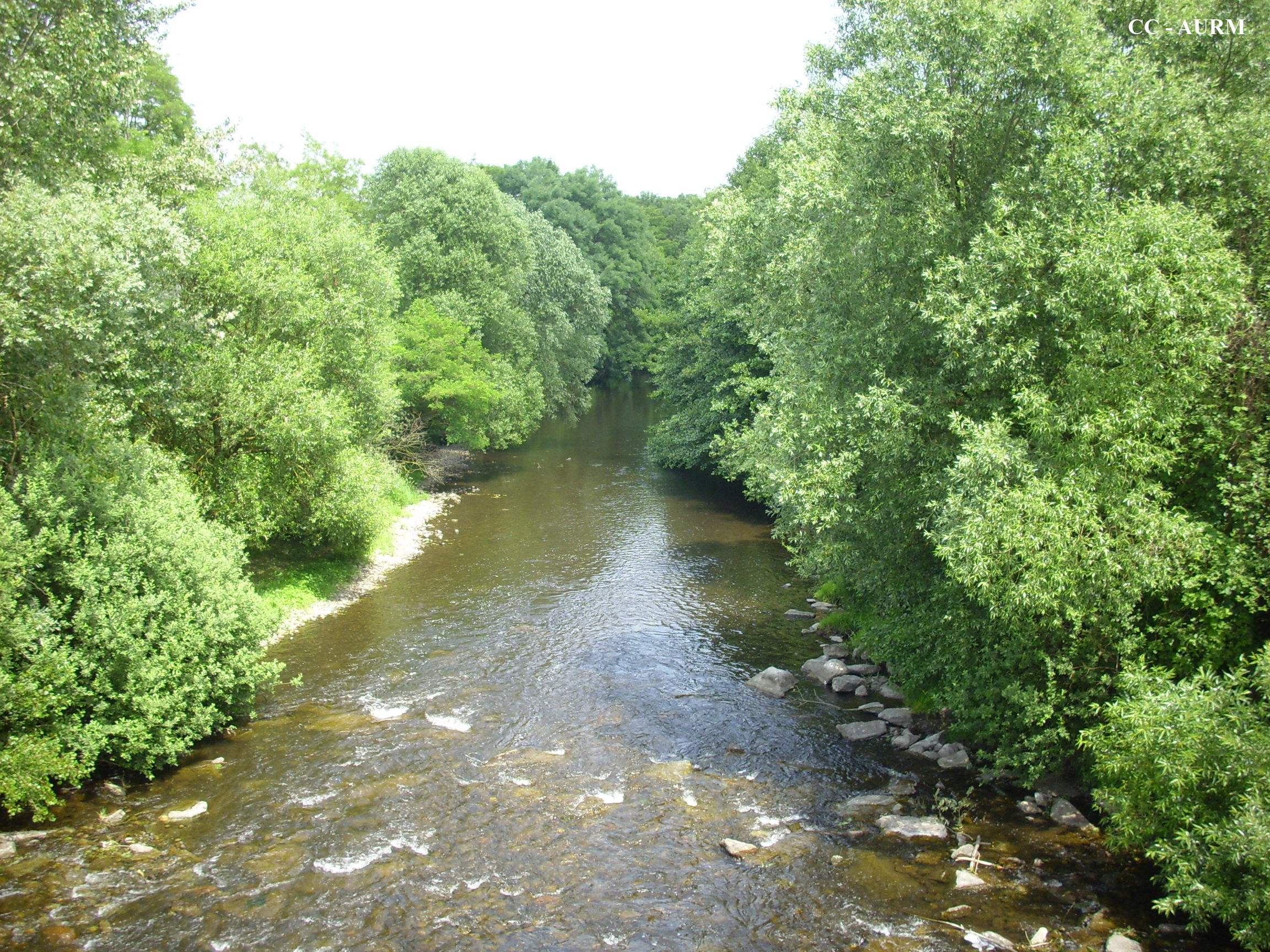 2009 Staffelfelden Rivière