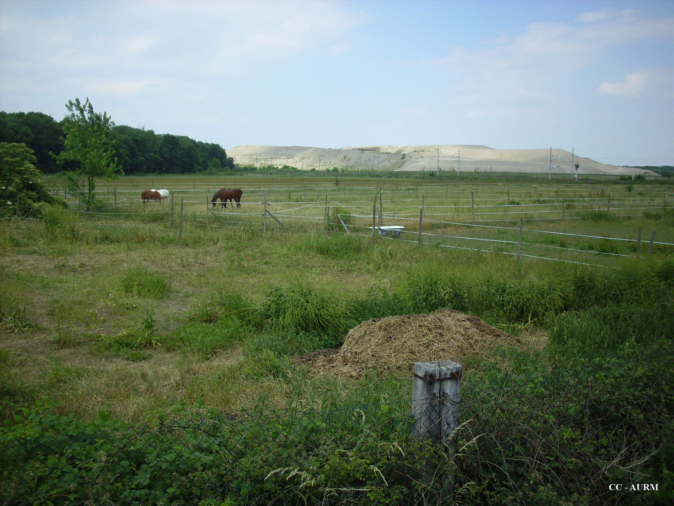 2009 Staffelfelden TerrilPré