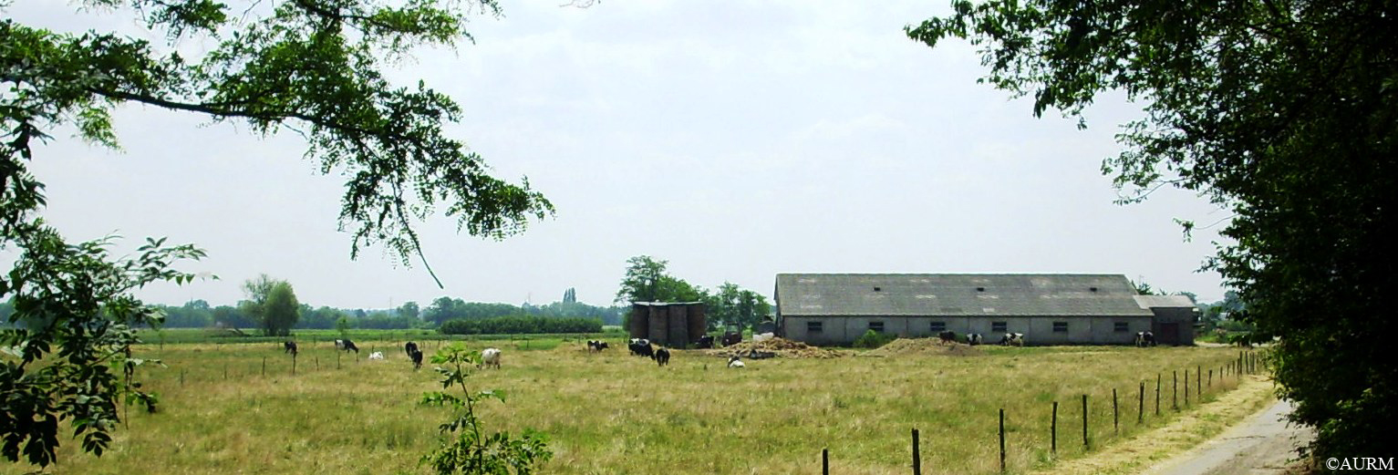 2009 Ungersheim agriculture