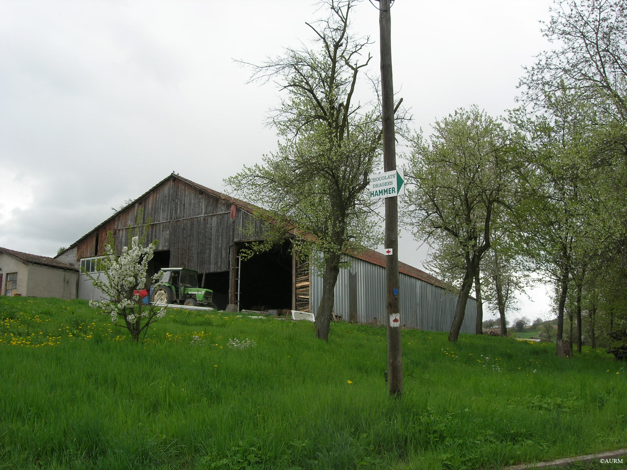 2009 Zimmersheim agriculture