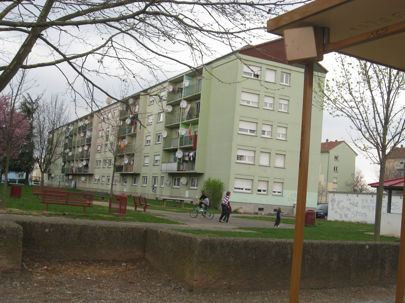 2010 Illzach quartierTulipe3