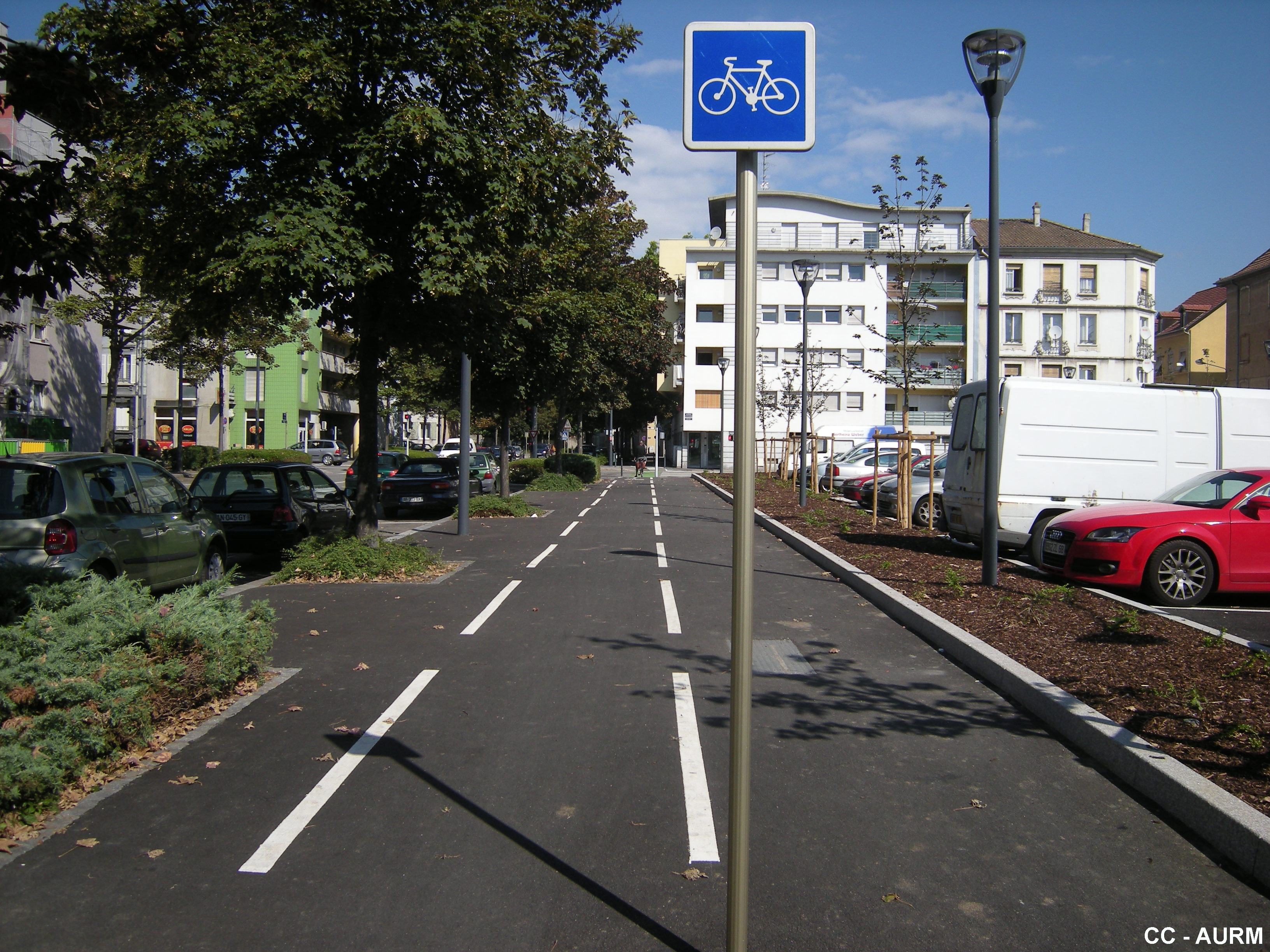 2010 Mulhouse PisteCyclable