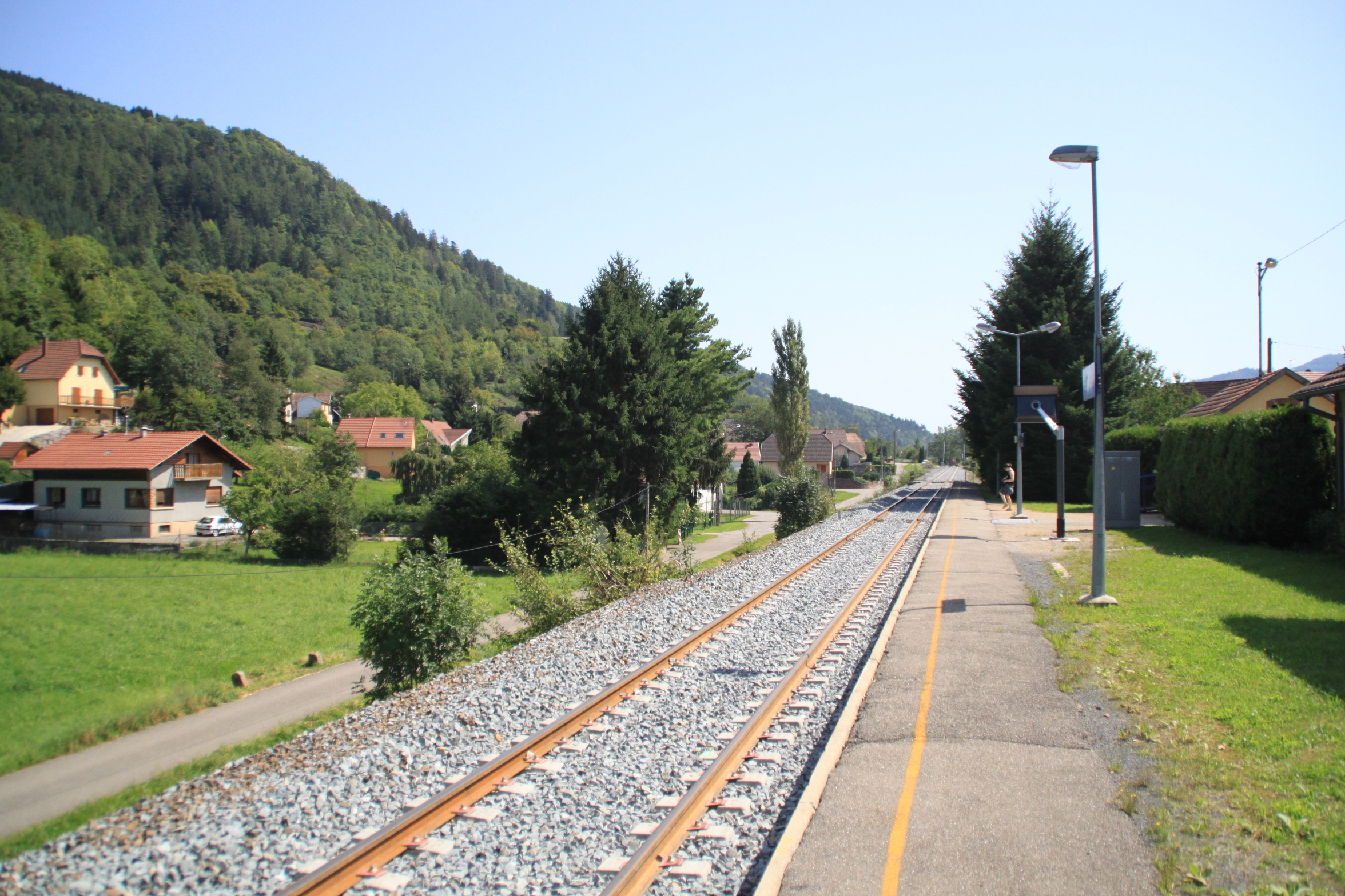 2011 Fellering stationtramtrain5