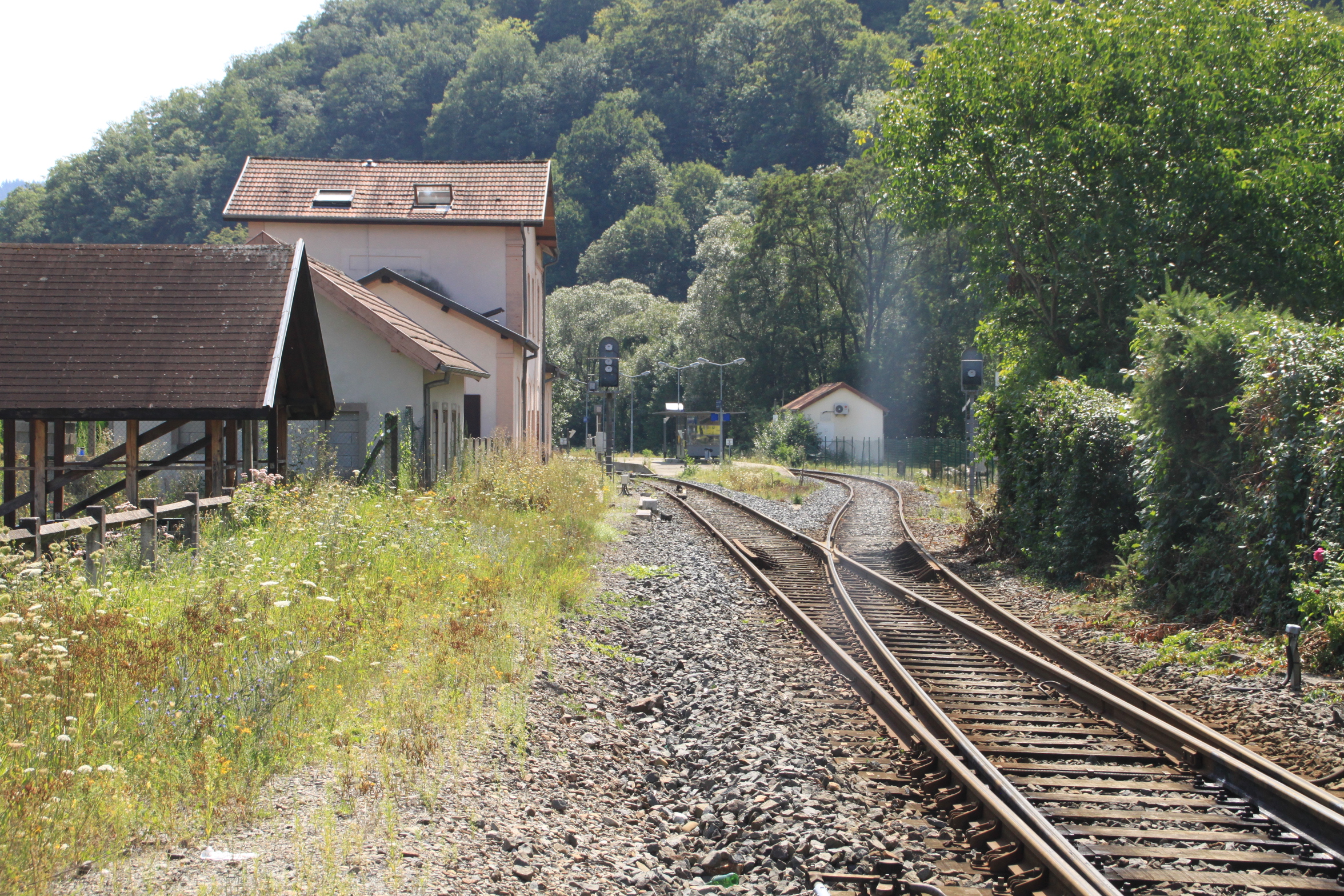 2011 Willer-sur-Thur stationtramtrain6