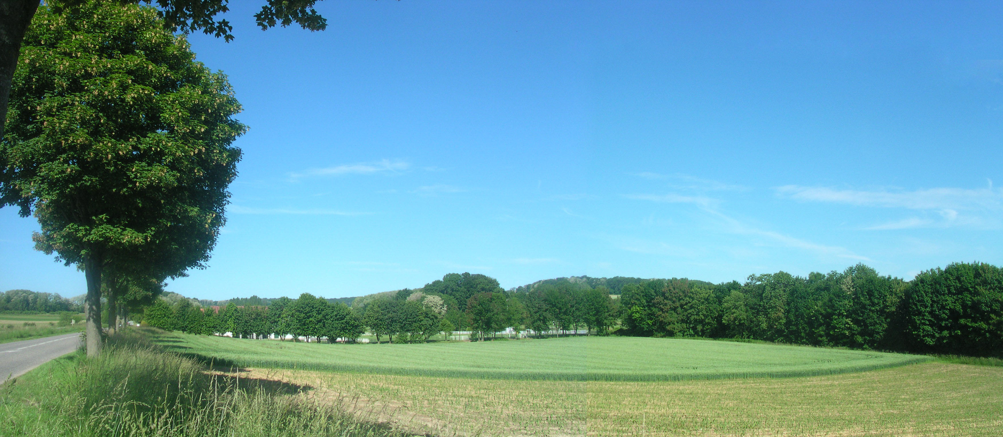 2013 Bruebach corridor