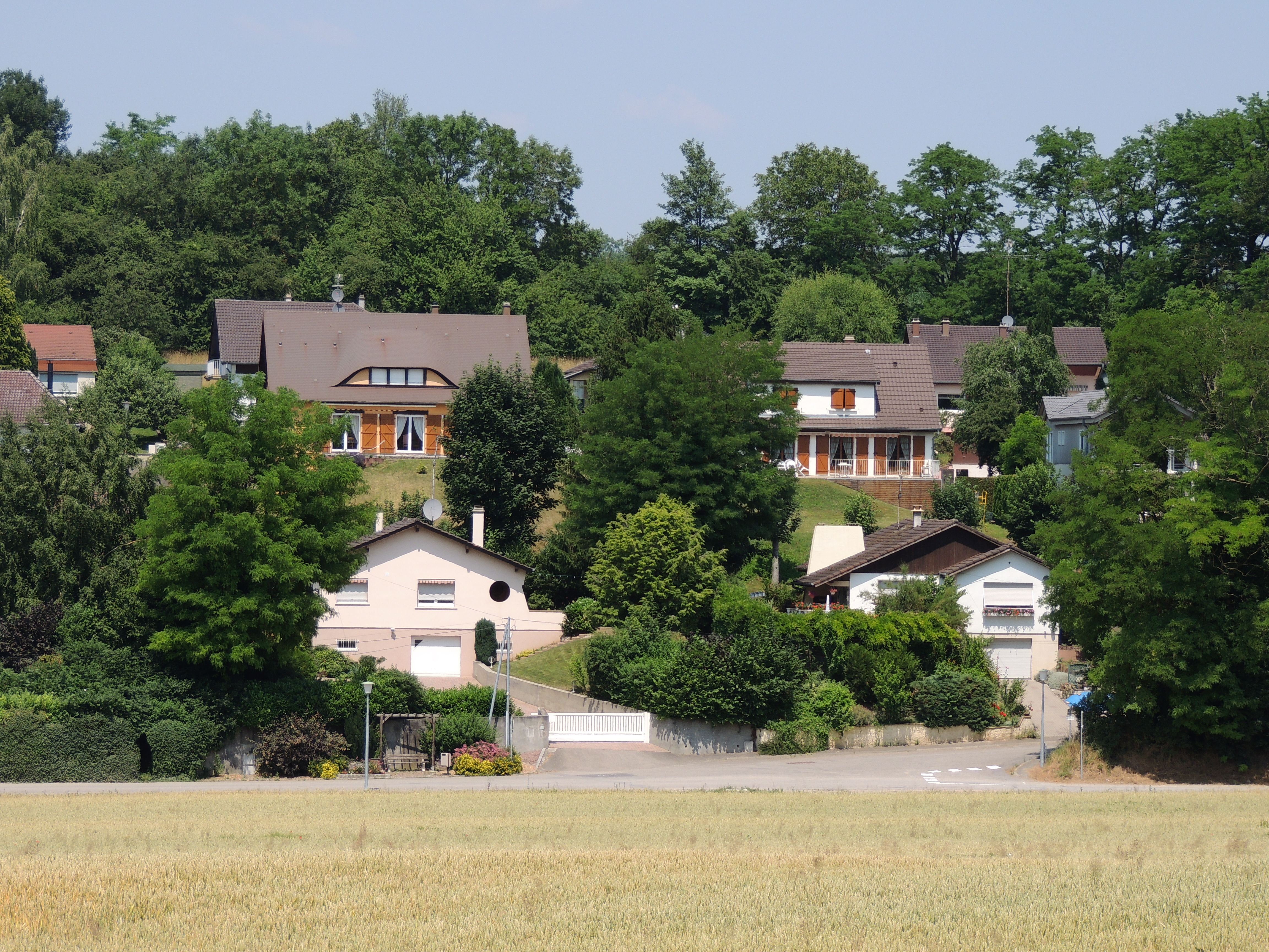 2013 Flaxlanden RuedeBruebach05