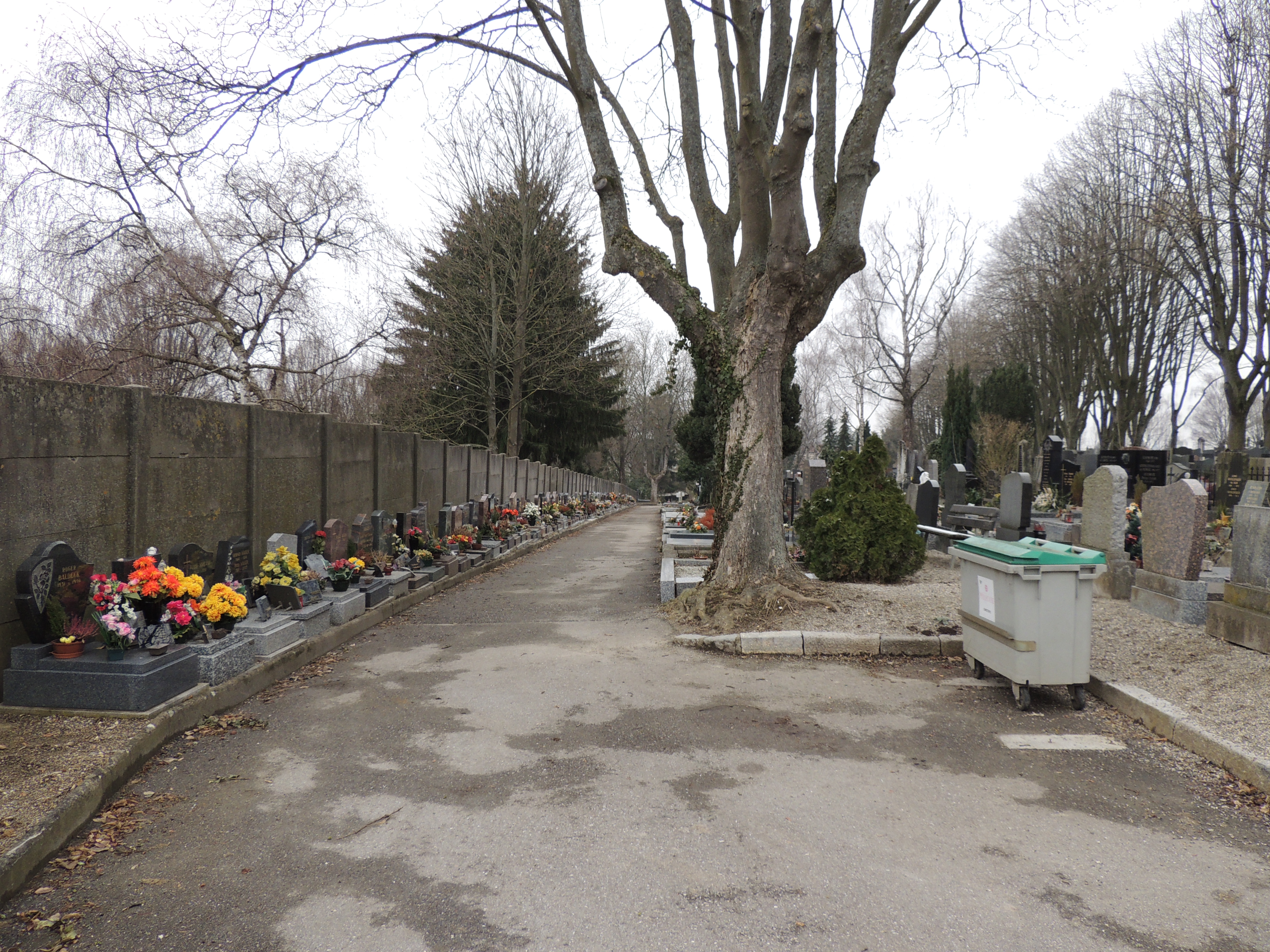 2013 Mulhouse Dornach cimetière 2