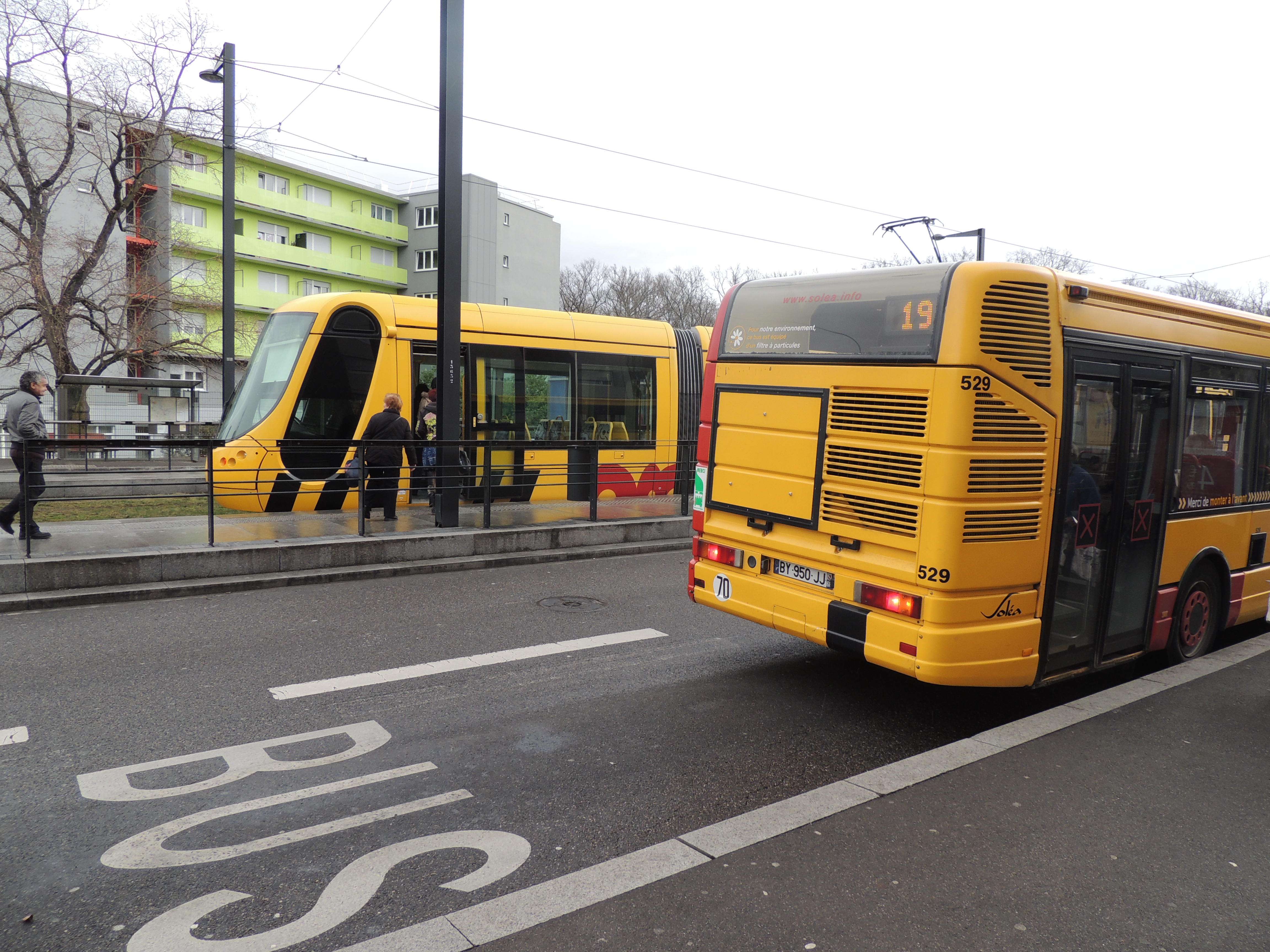 2013 Mulhouse stationChataignier1