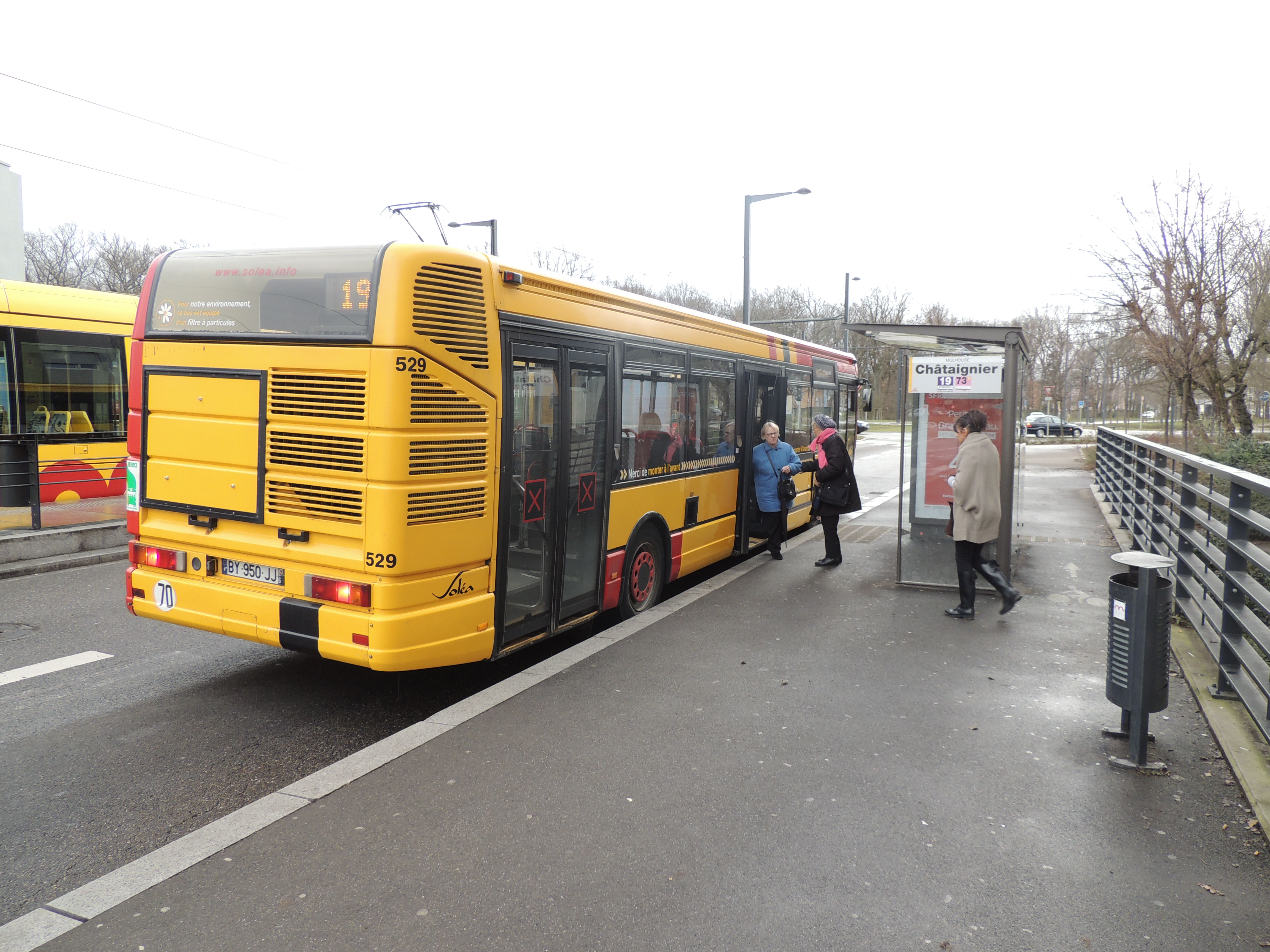 2013 Mulhouse stationChataignier4