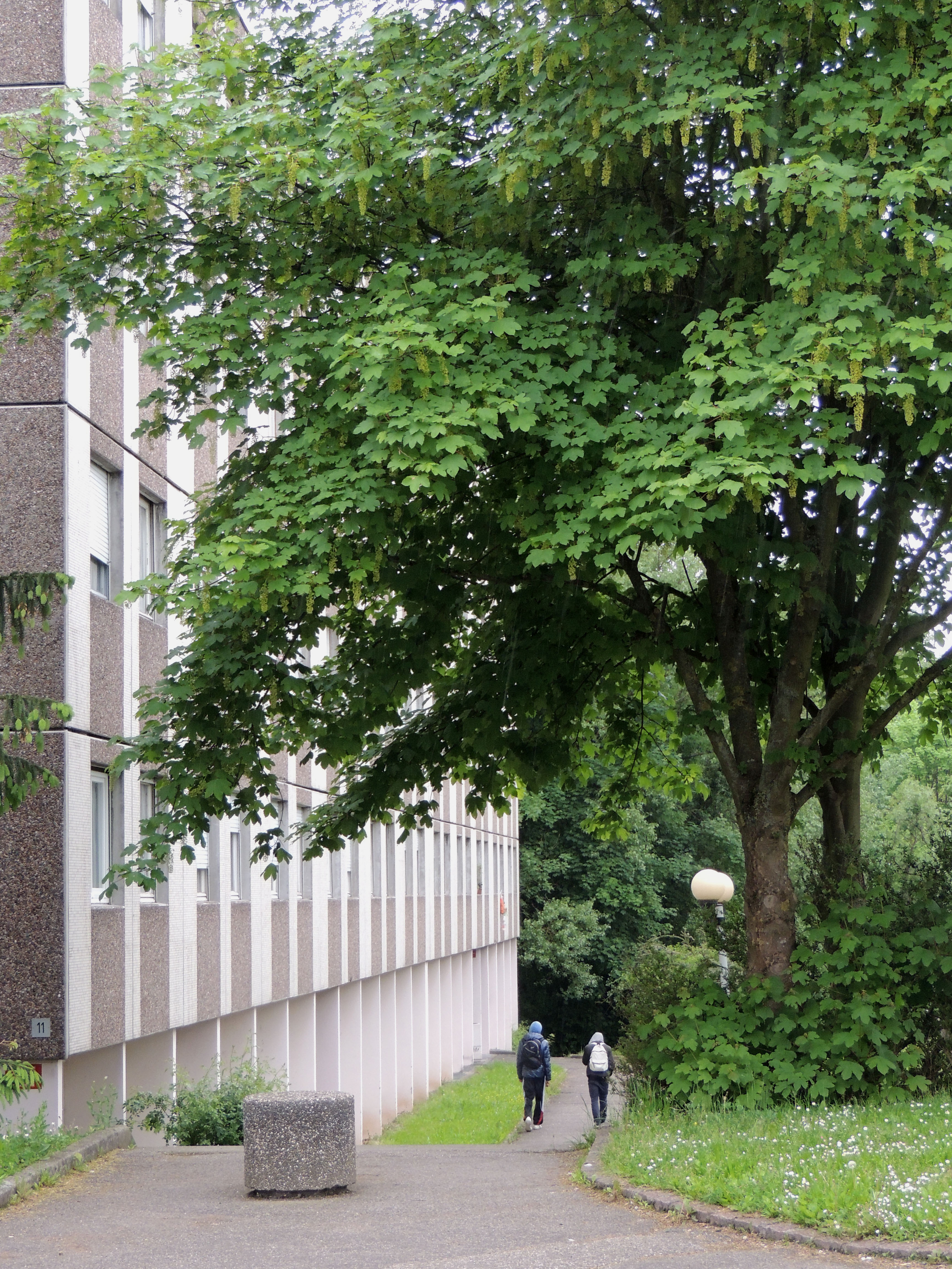 2013 Mulhouse UniversiteIllberg31