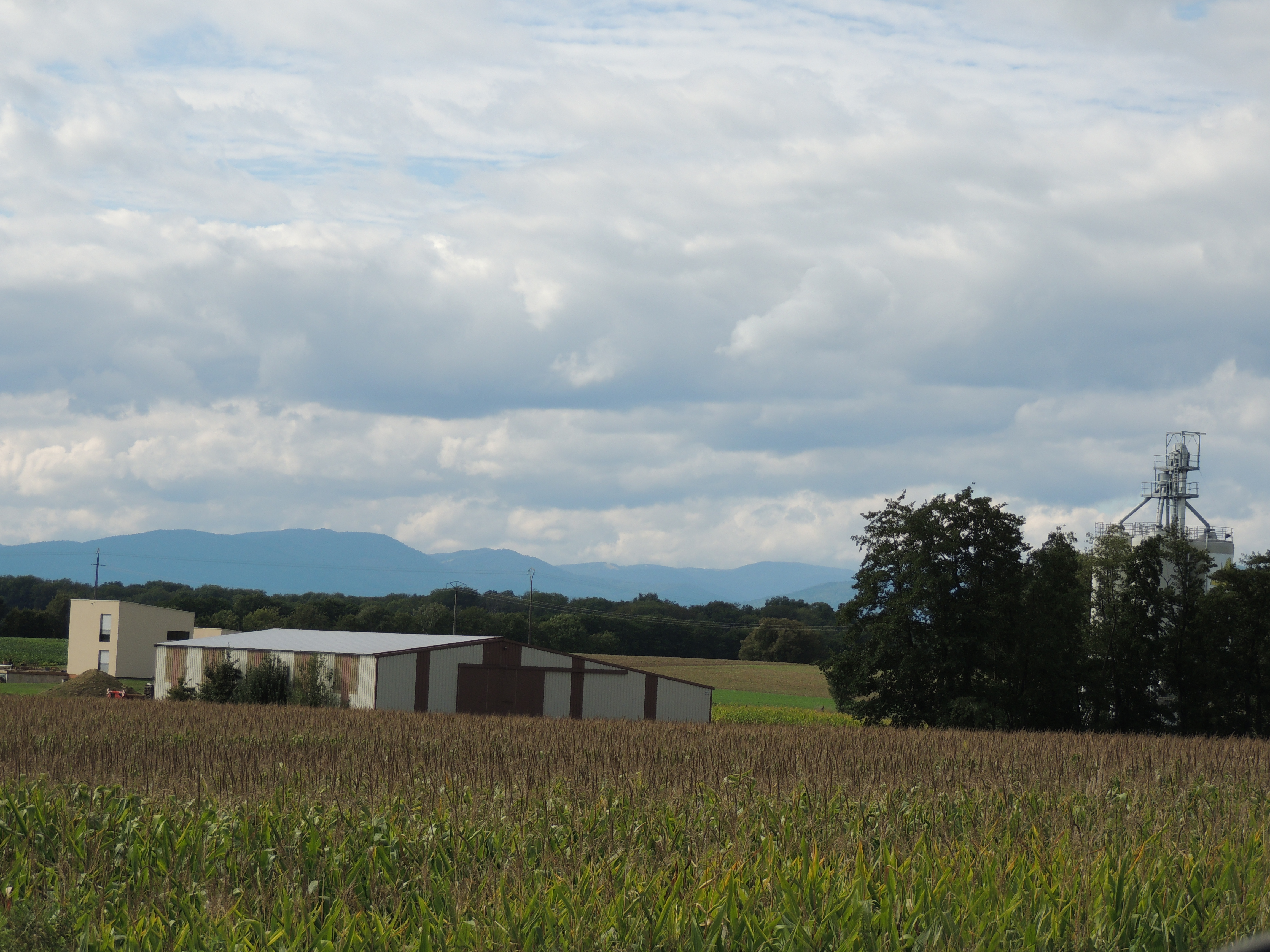 2013 Reiningue silo