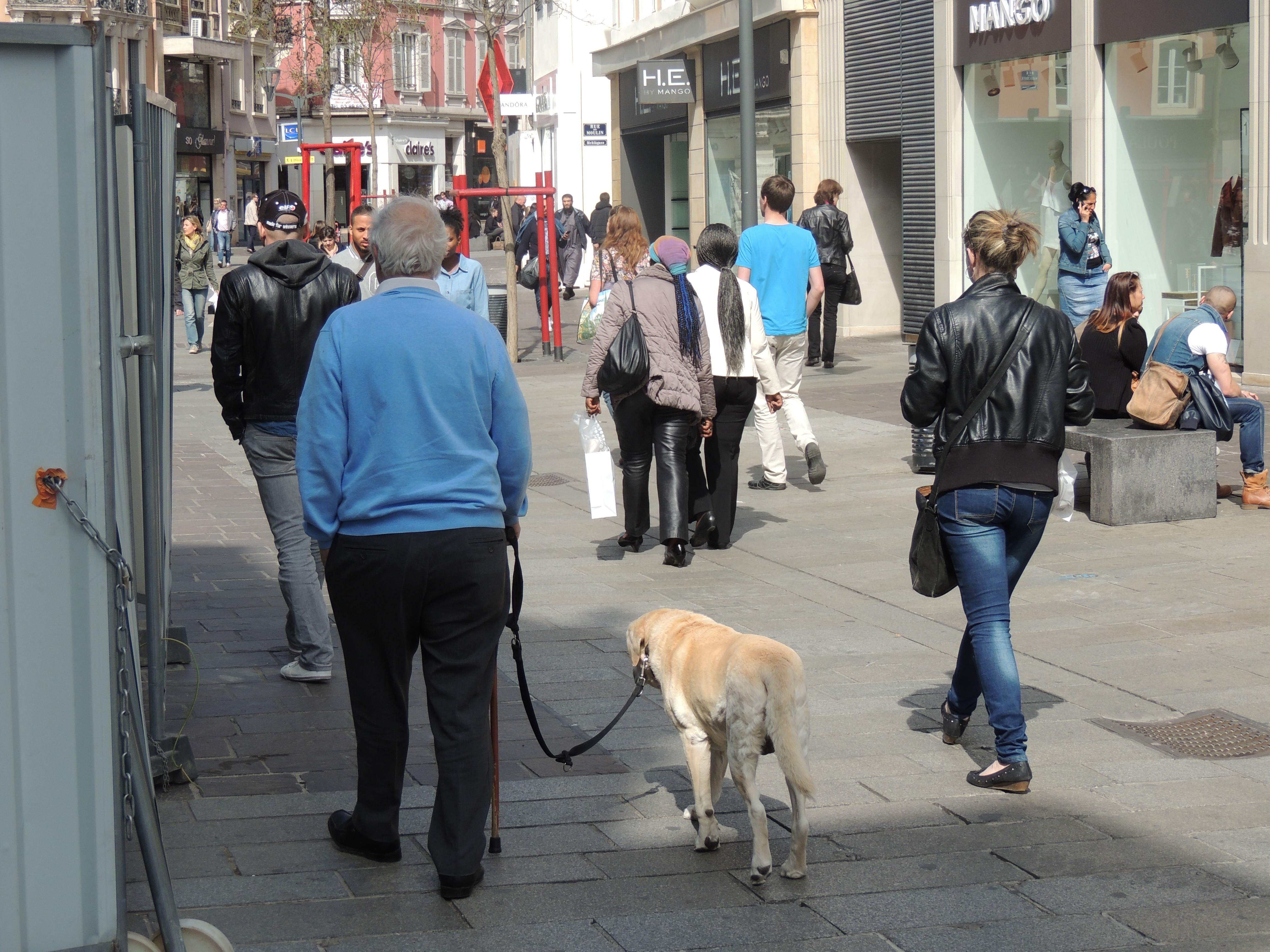 2014 Mulhouse homme et son chien 2