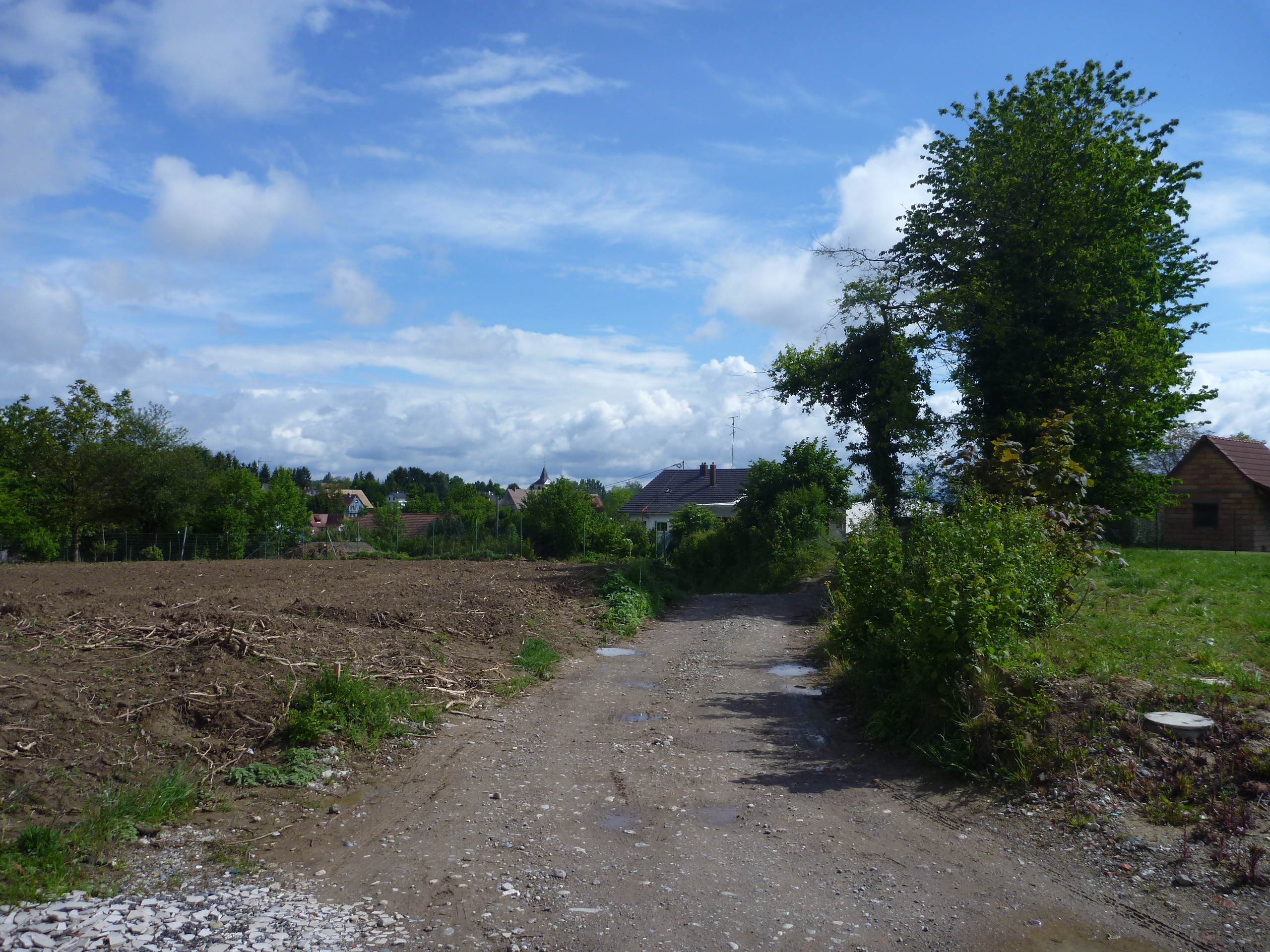 2014 Steinbrunn Le Bas chemin en terre 4