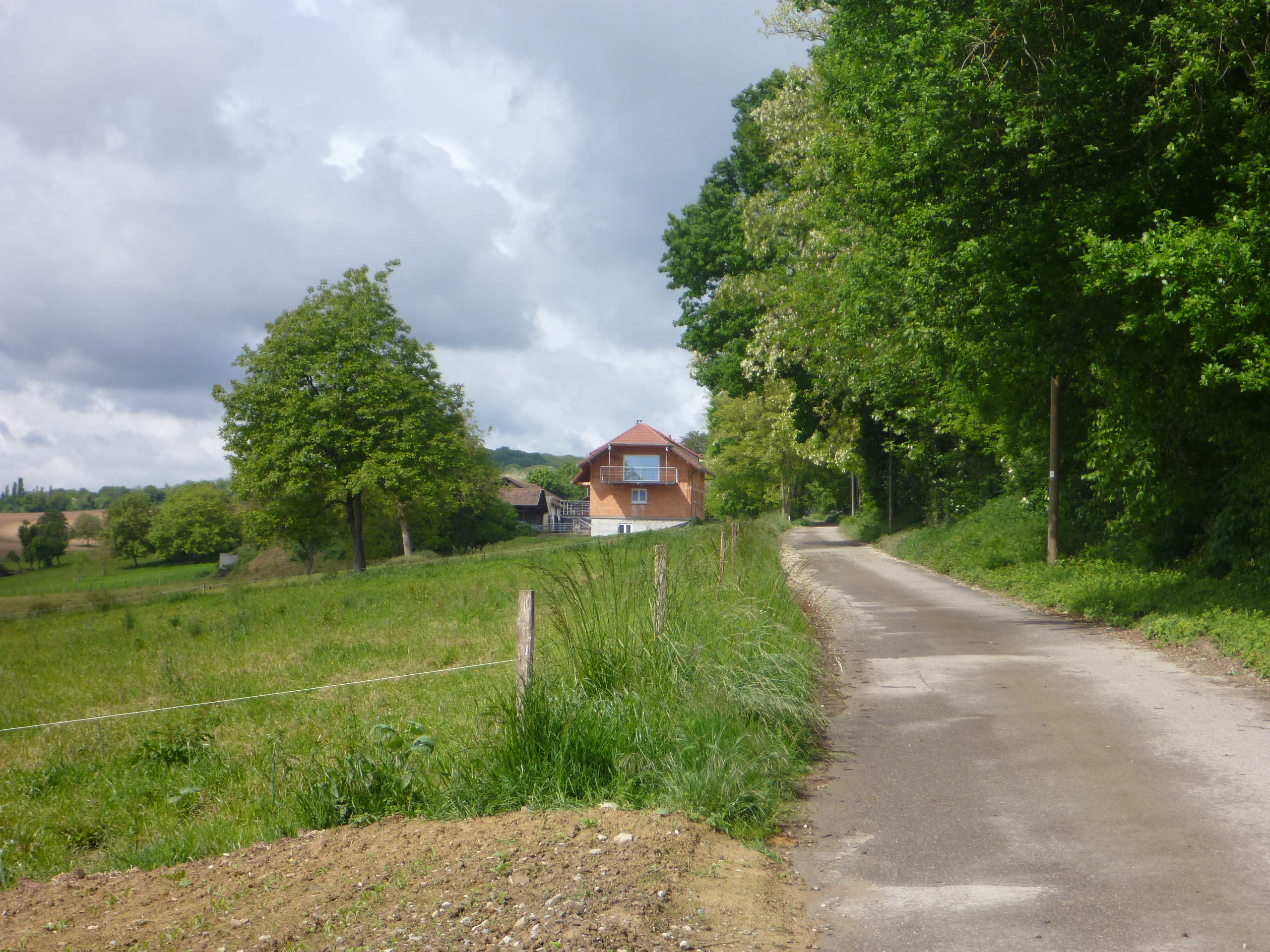 2014 Steinbrunn Le Bas chemin goudronné 2