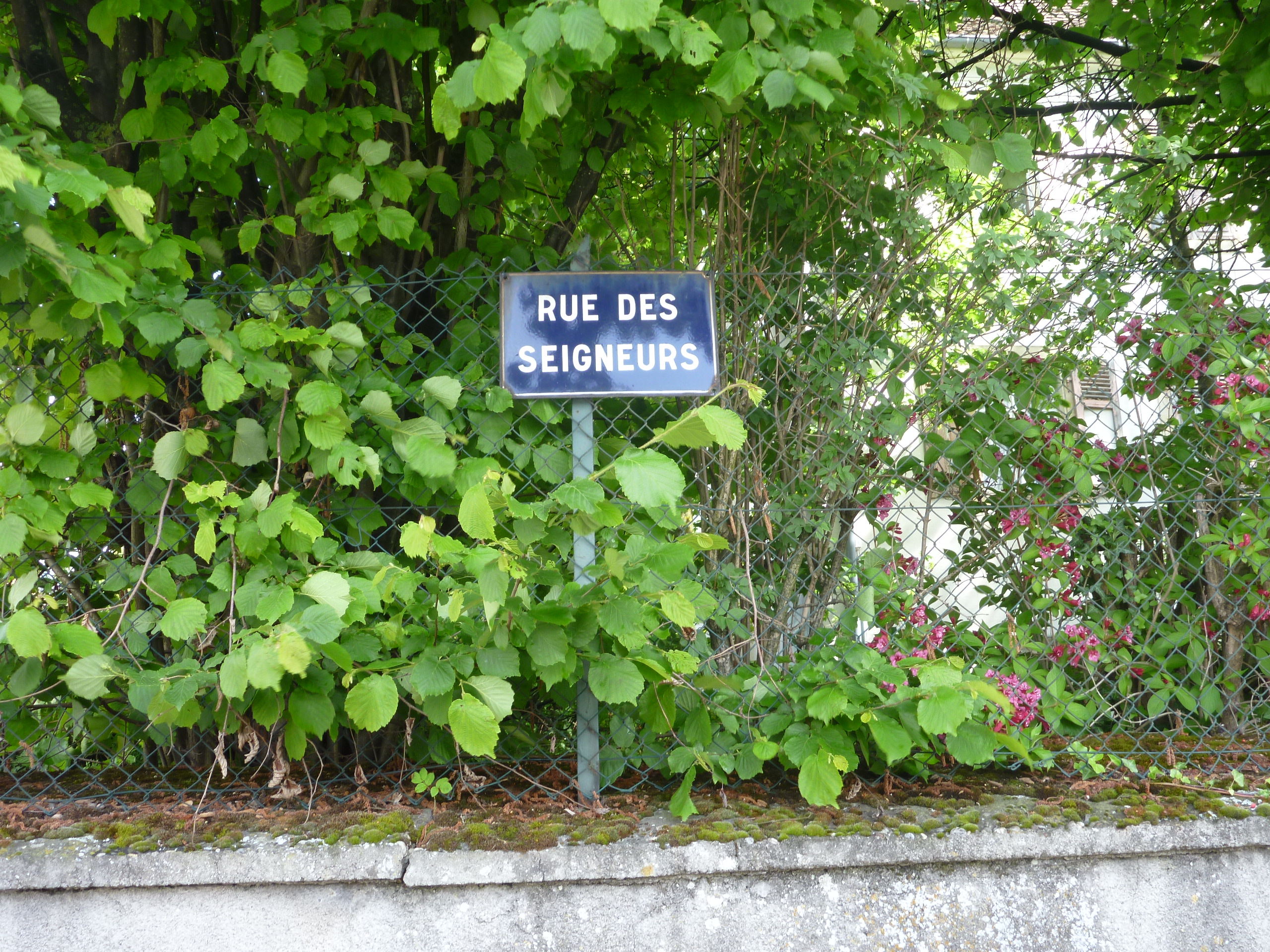 2014 Steinbrunn Le Bas rue des seigneurs