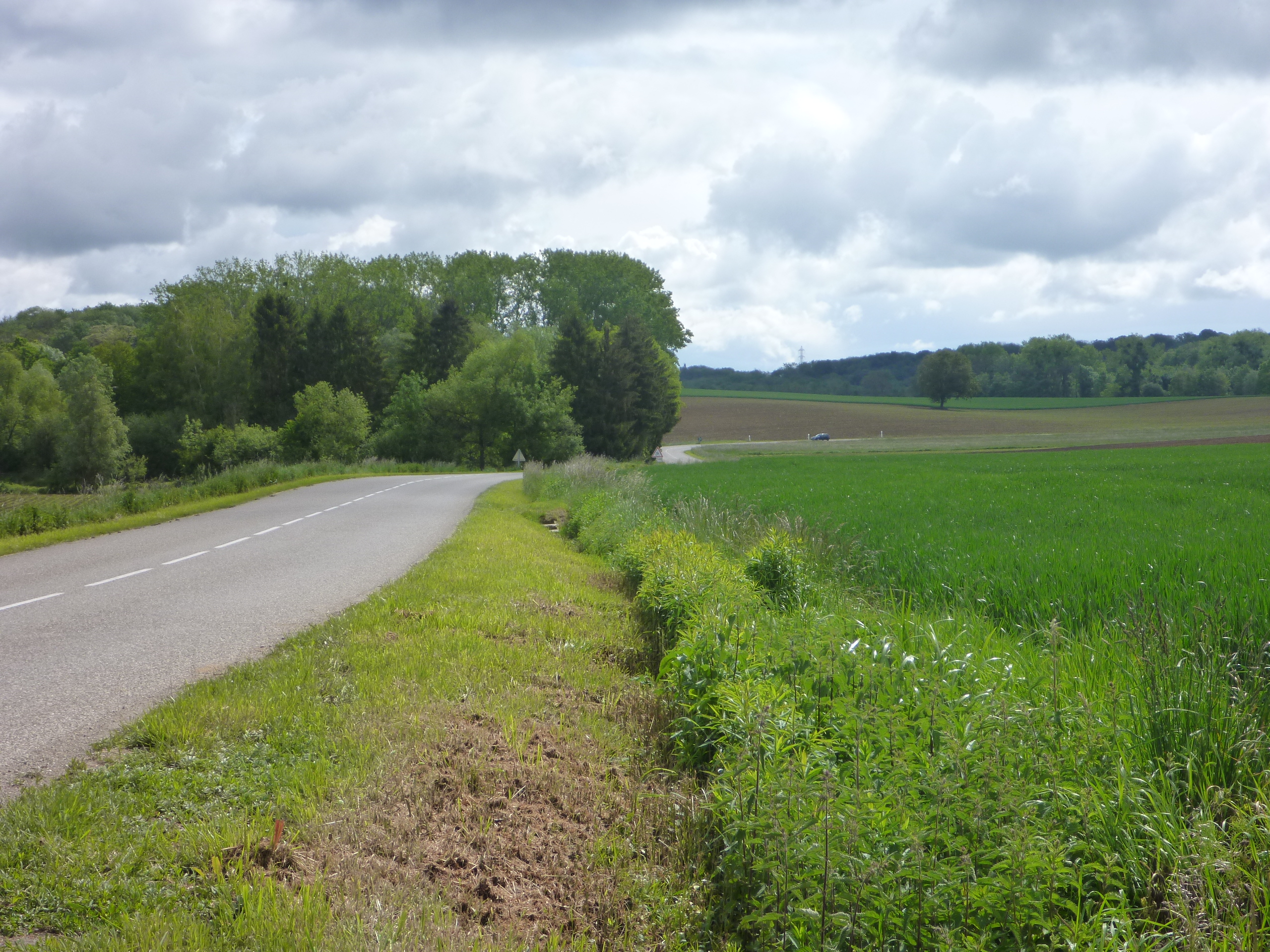 2014 Steinbrunn Le Bas voie de circulation - route 8