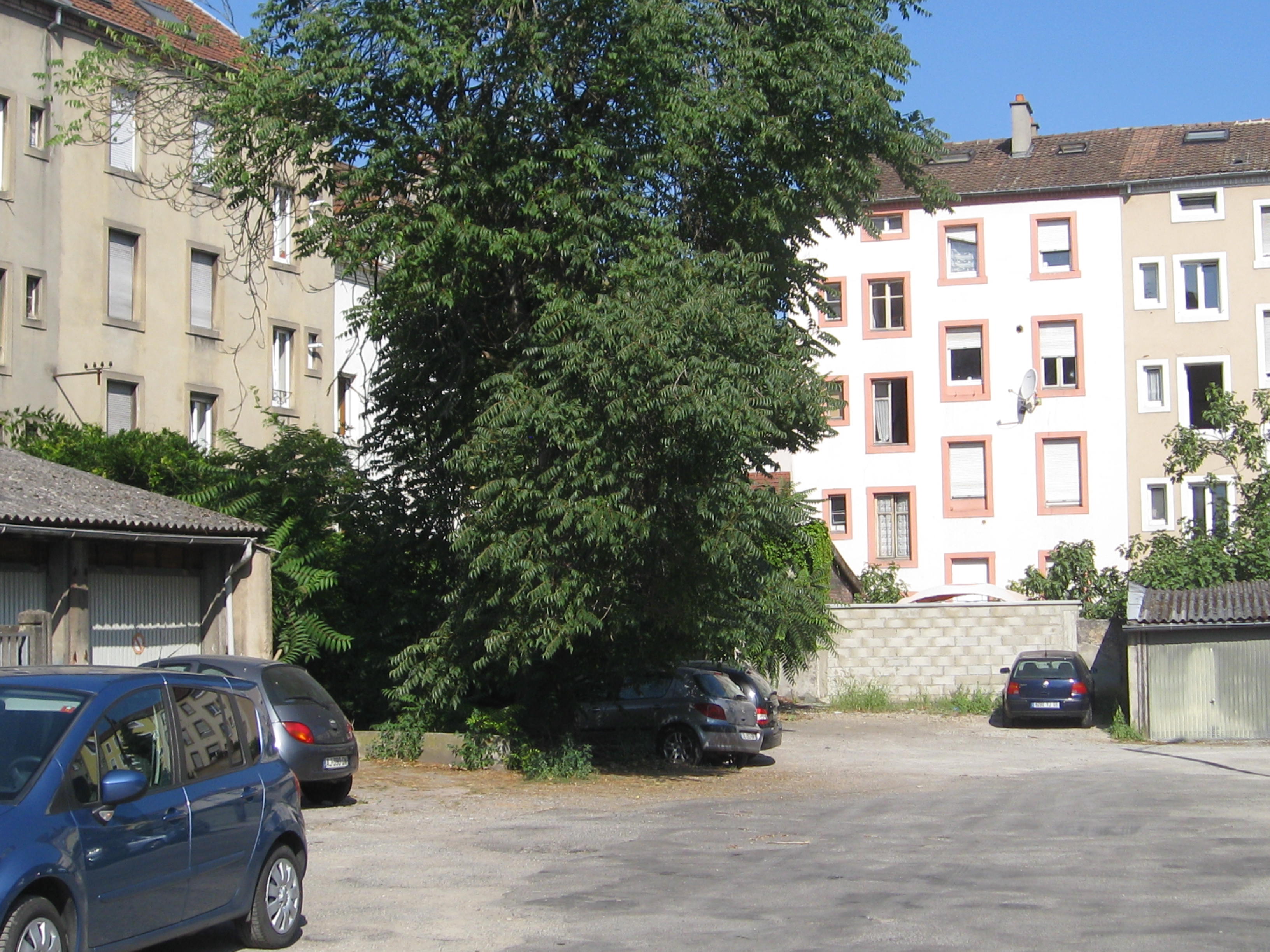 2015 Mulhouse rue de Bâle parking privé 5