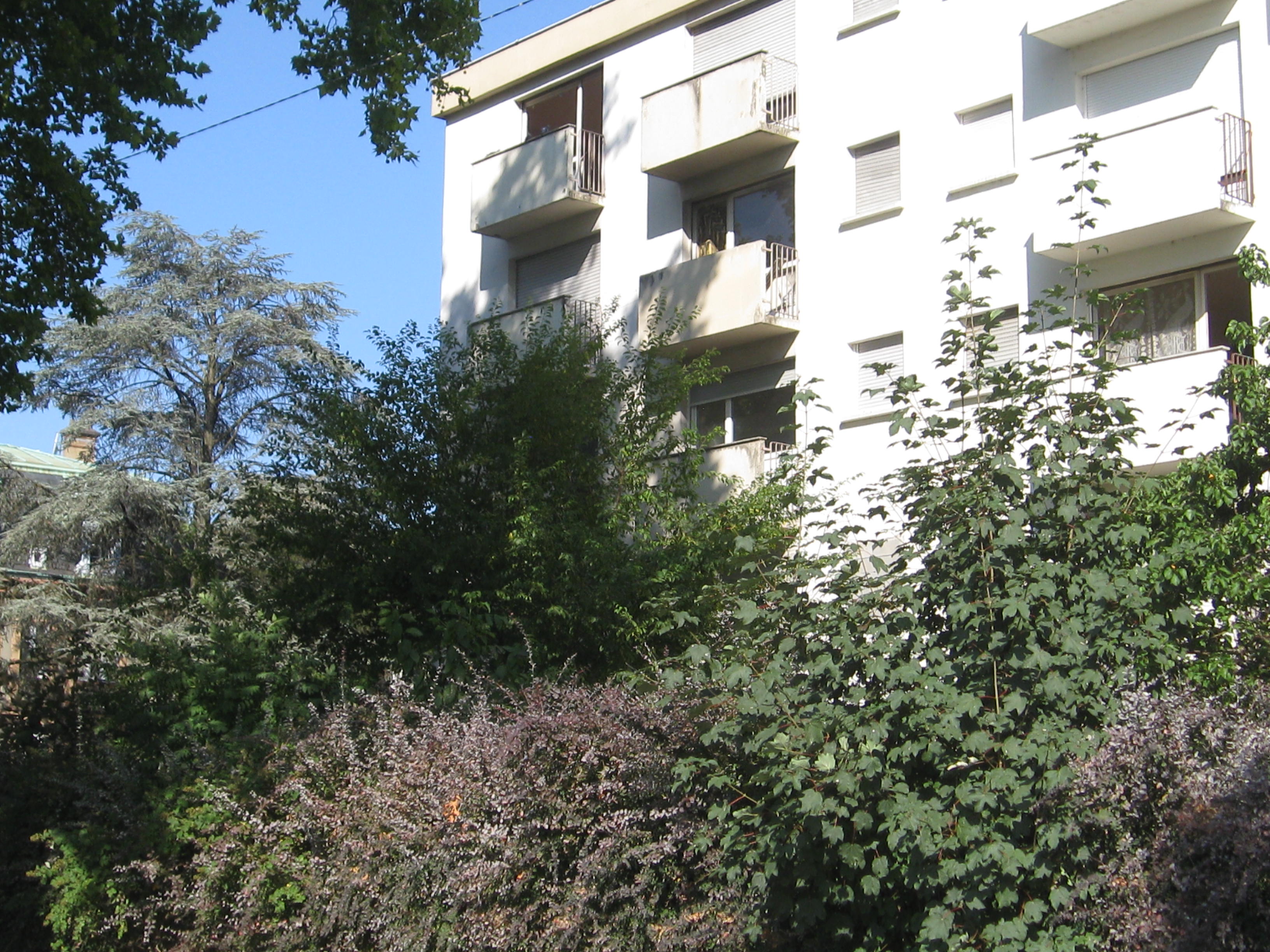 2015 Mulhouse rue de l'Est habitat 2