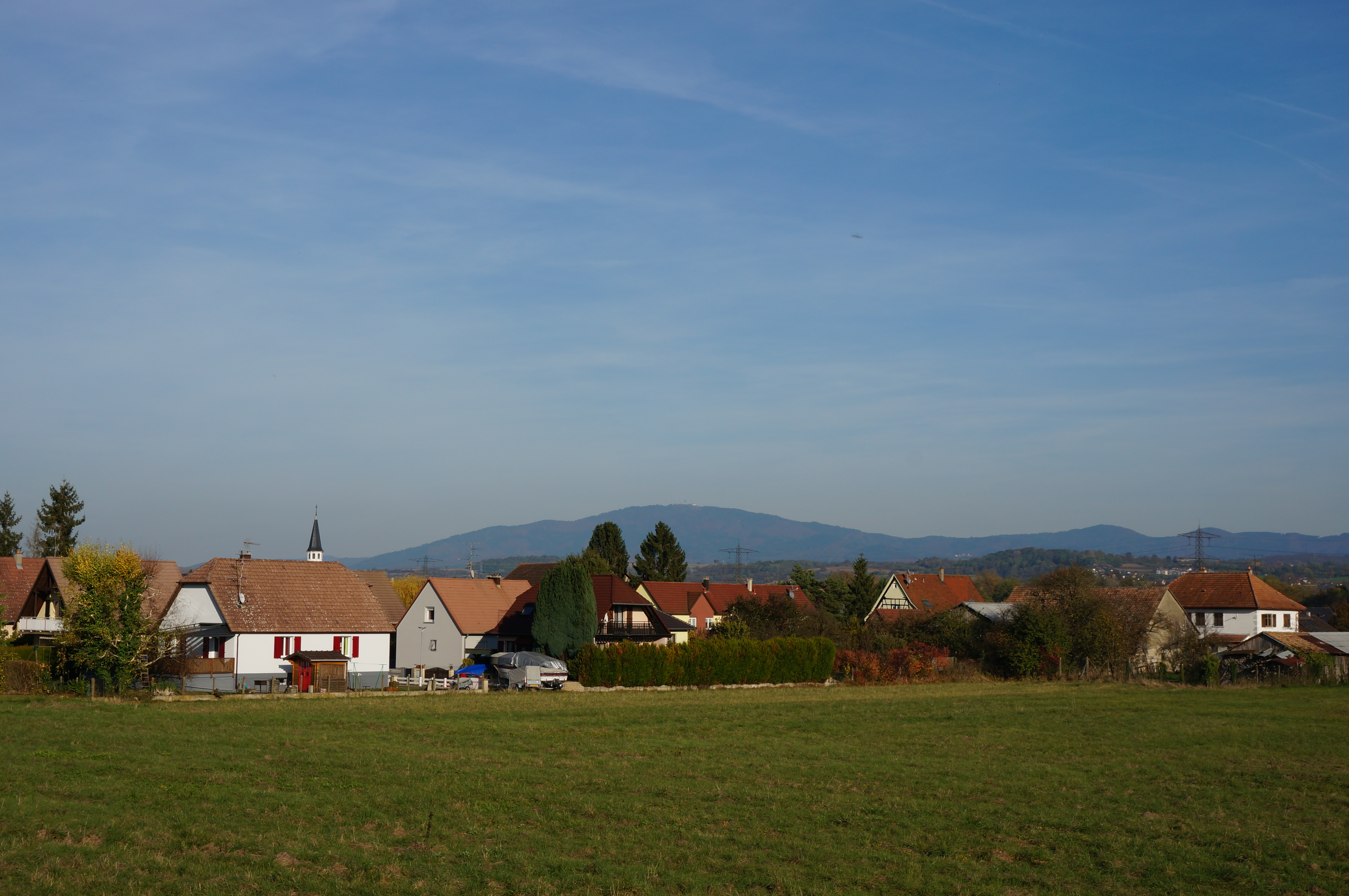 2015 Niffer Maisons et pré 1