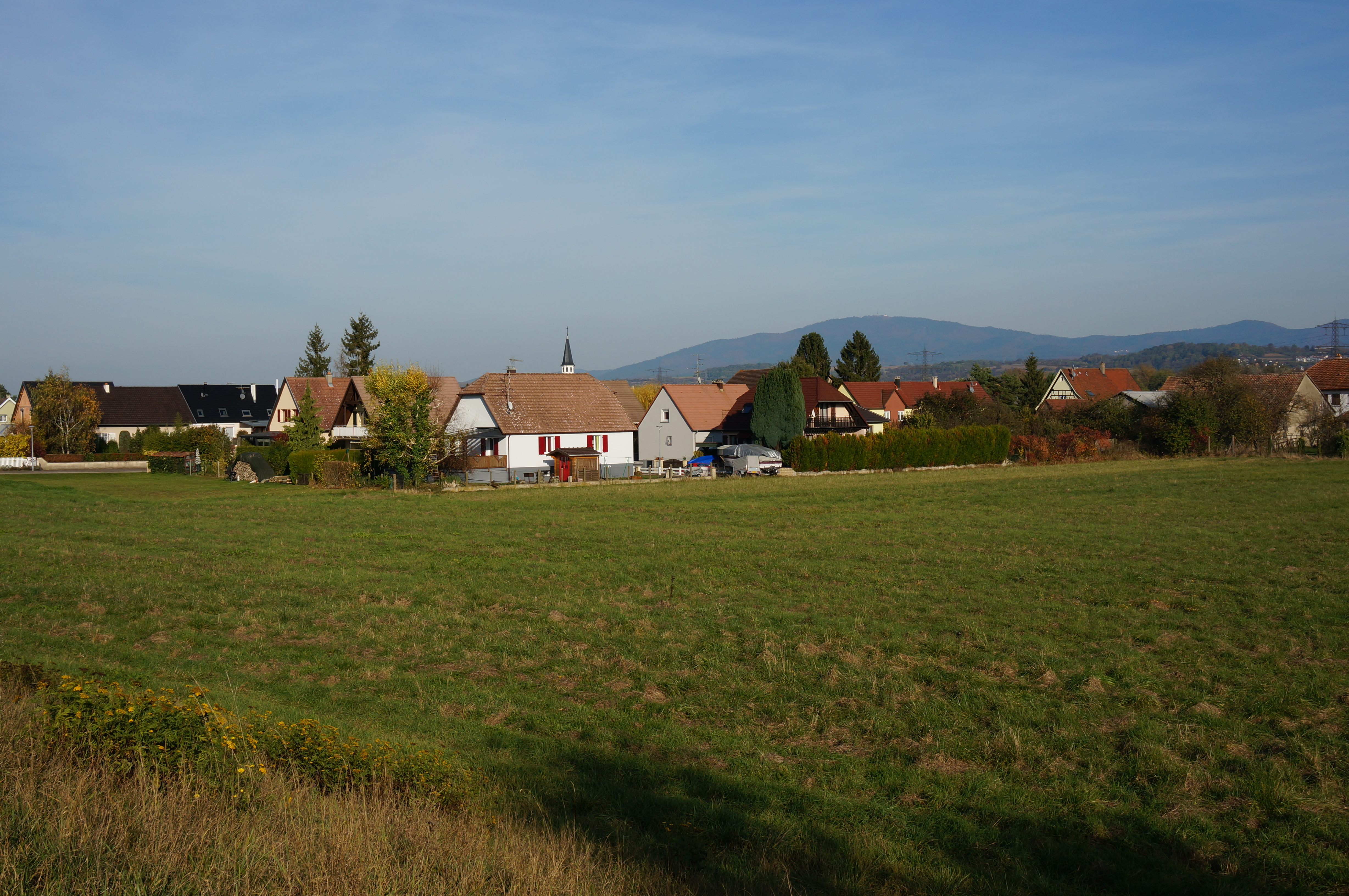 2015 Niffer Maisons et pré 3