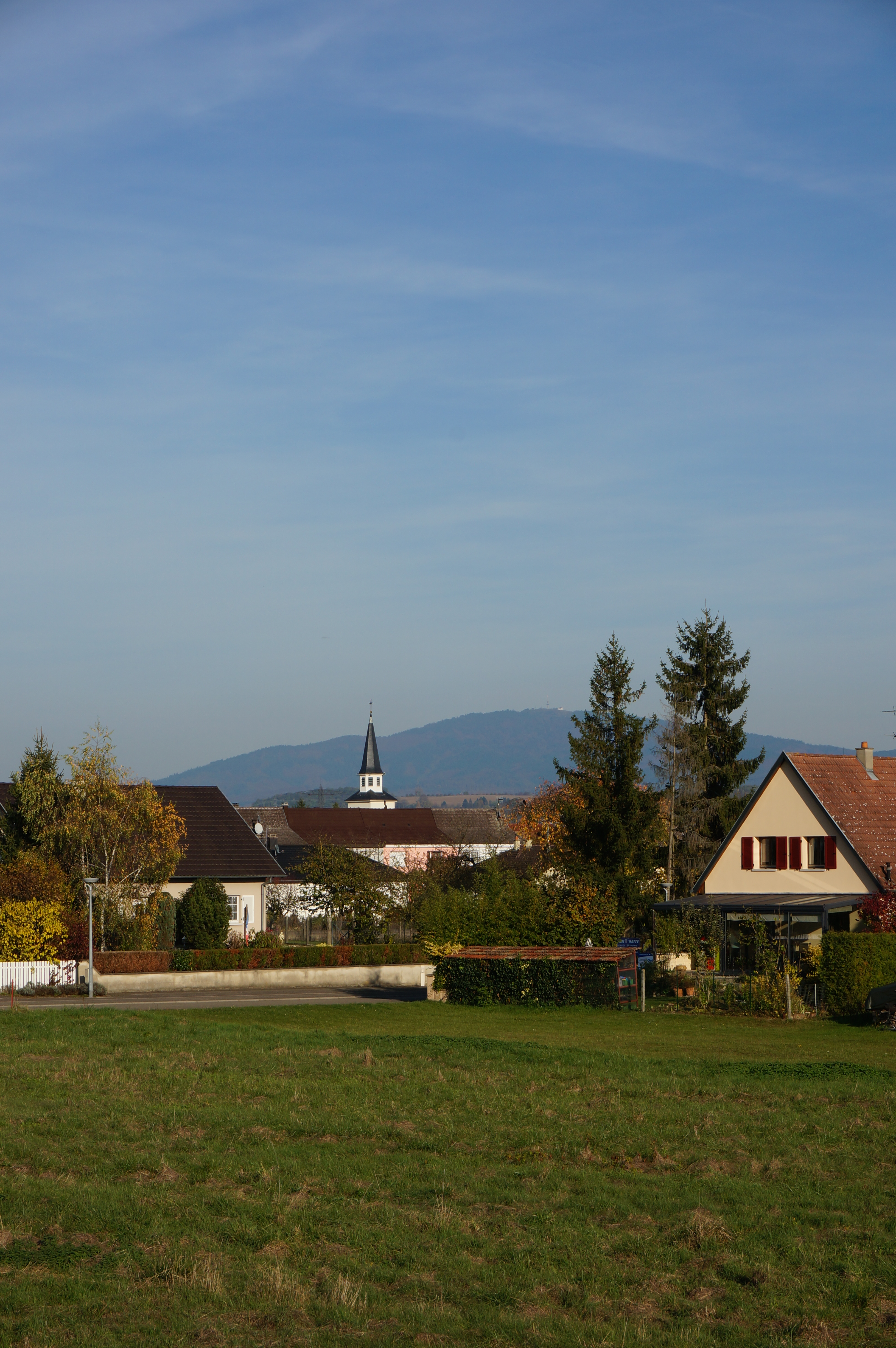 2015 Niffer Maisons et pré 5