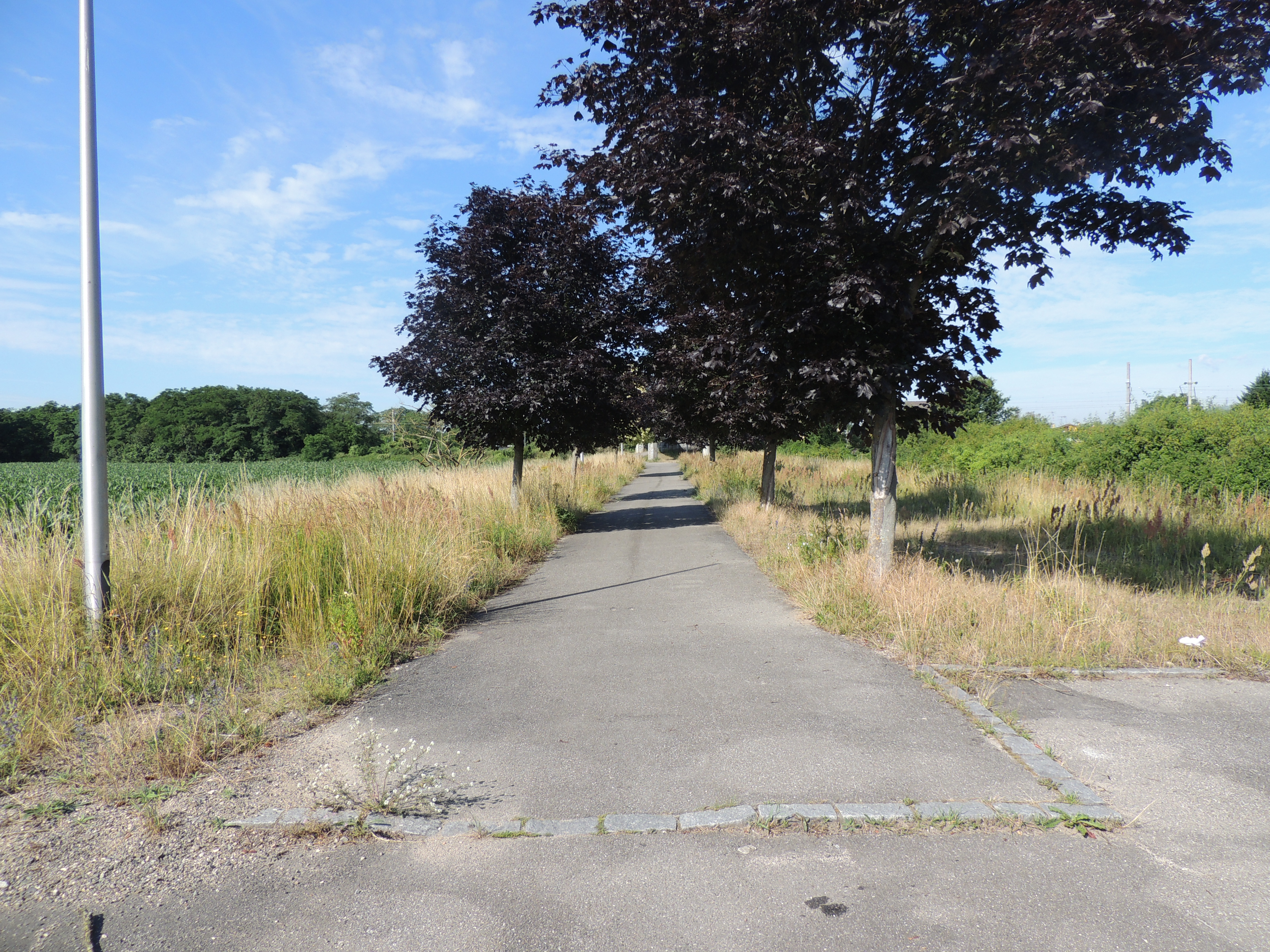 2015 Wittelsheim chemin goudronné