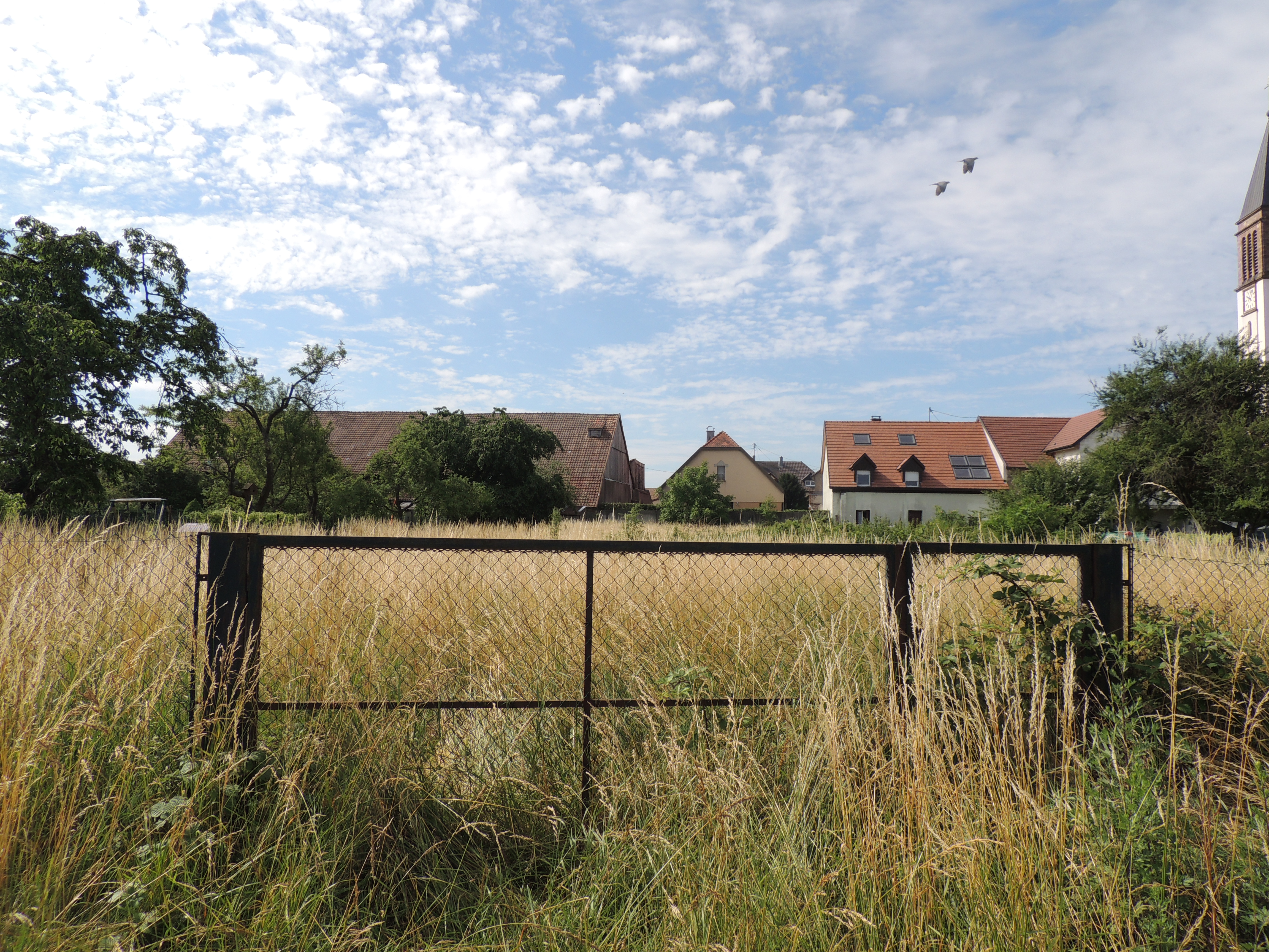 2015 Wittelsheim enclos 6