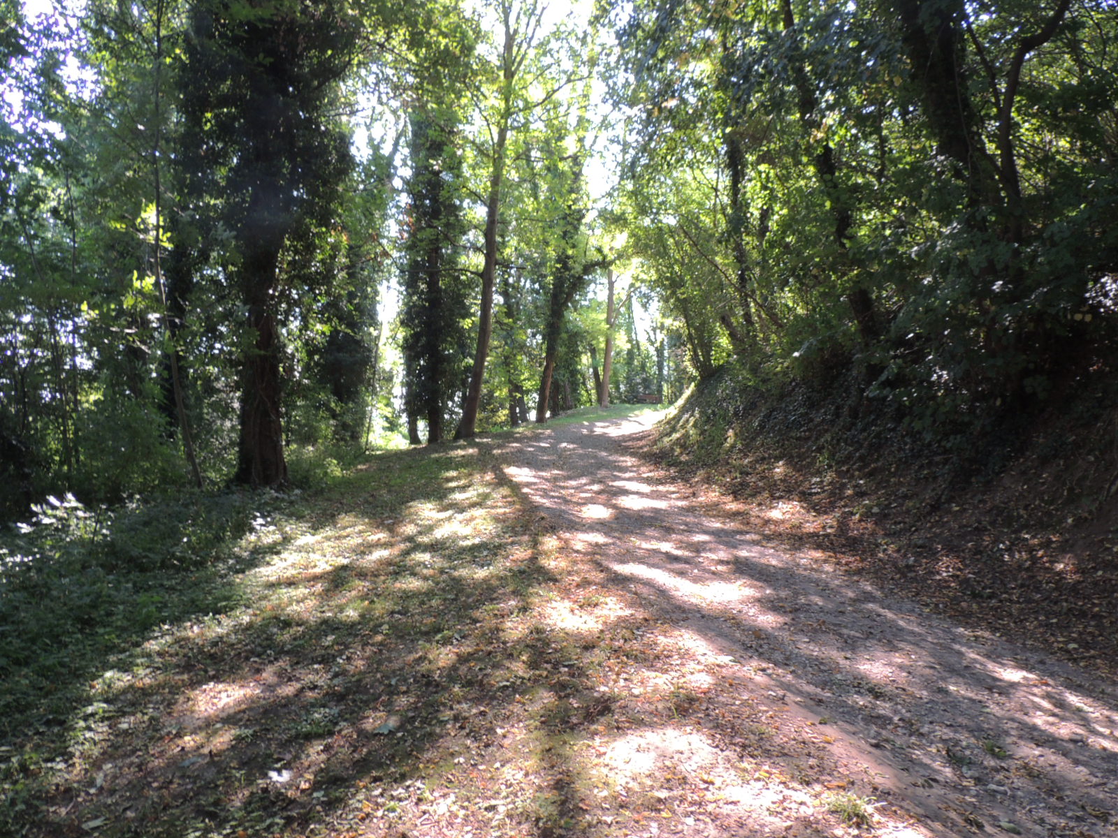 2016 Brunstatt-Didenheim Esp vierge rue des cigognes (1)