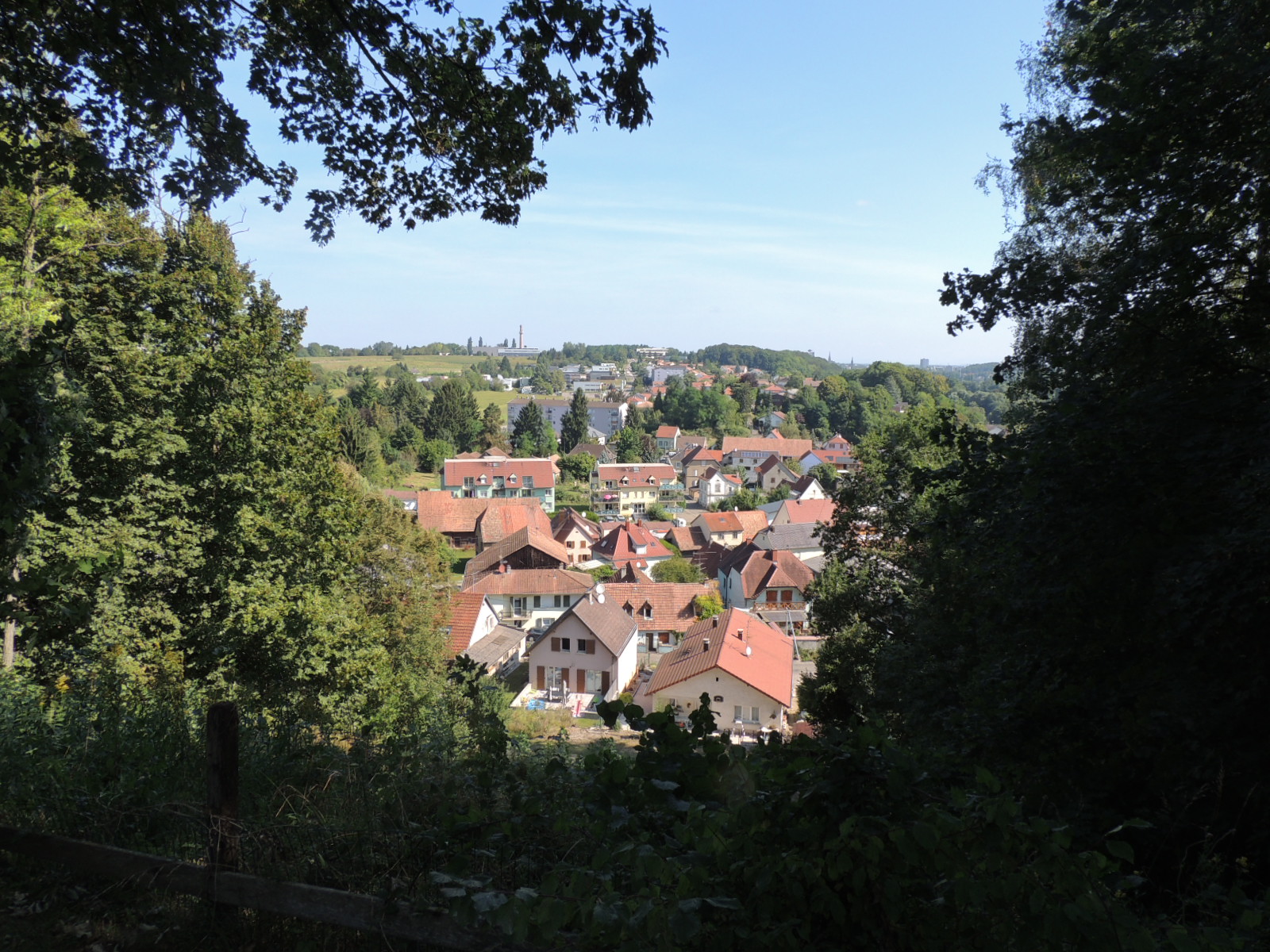 2016 Brunstatt-Didenheim Esp vierge rue des cigognes (2)