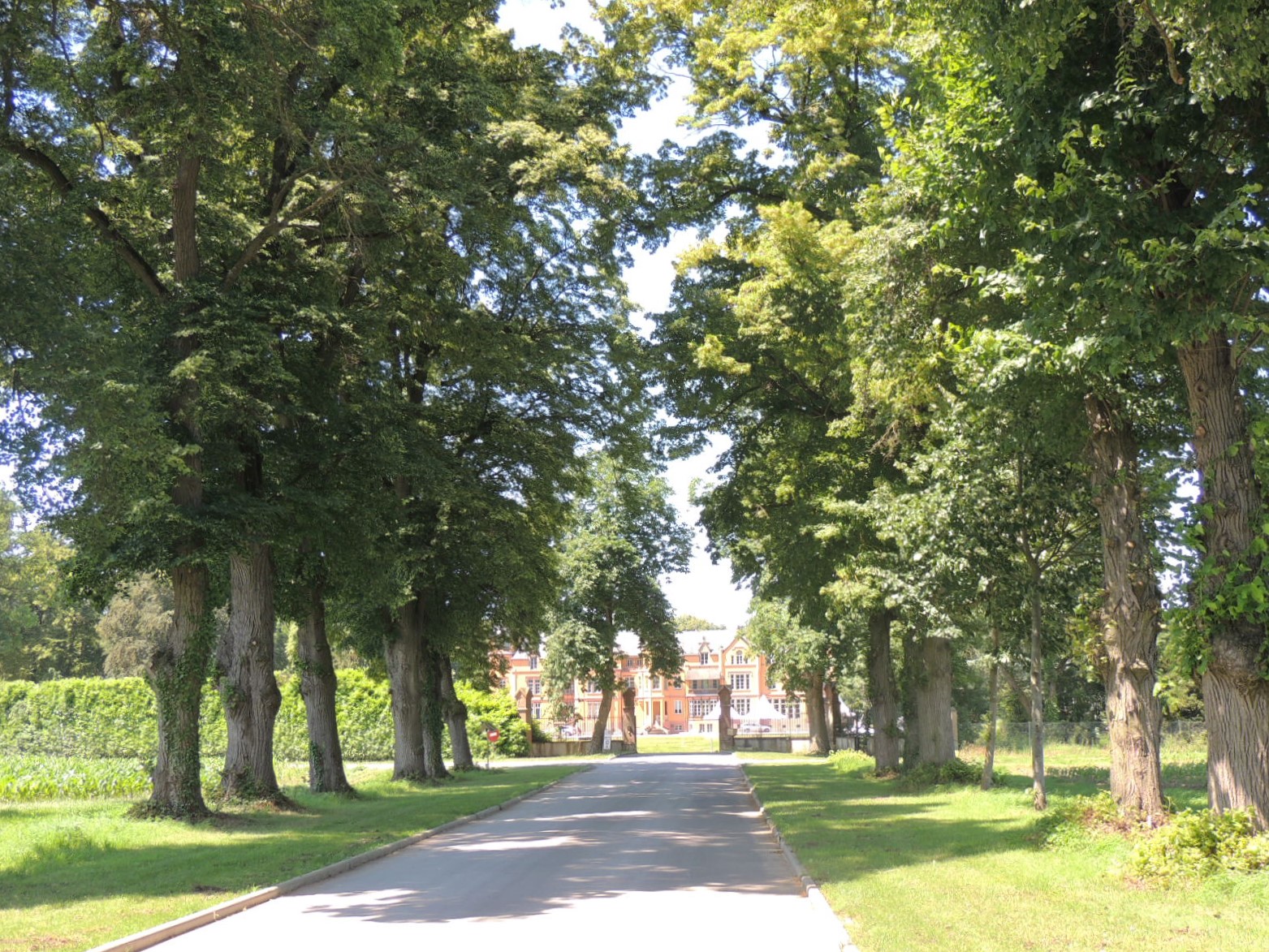 2016 Hombourg  Allée entrée Château