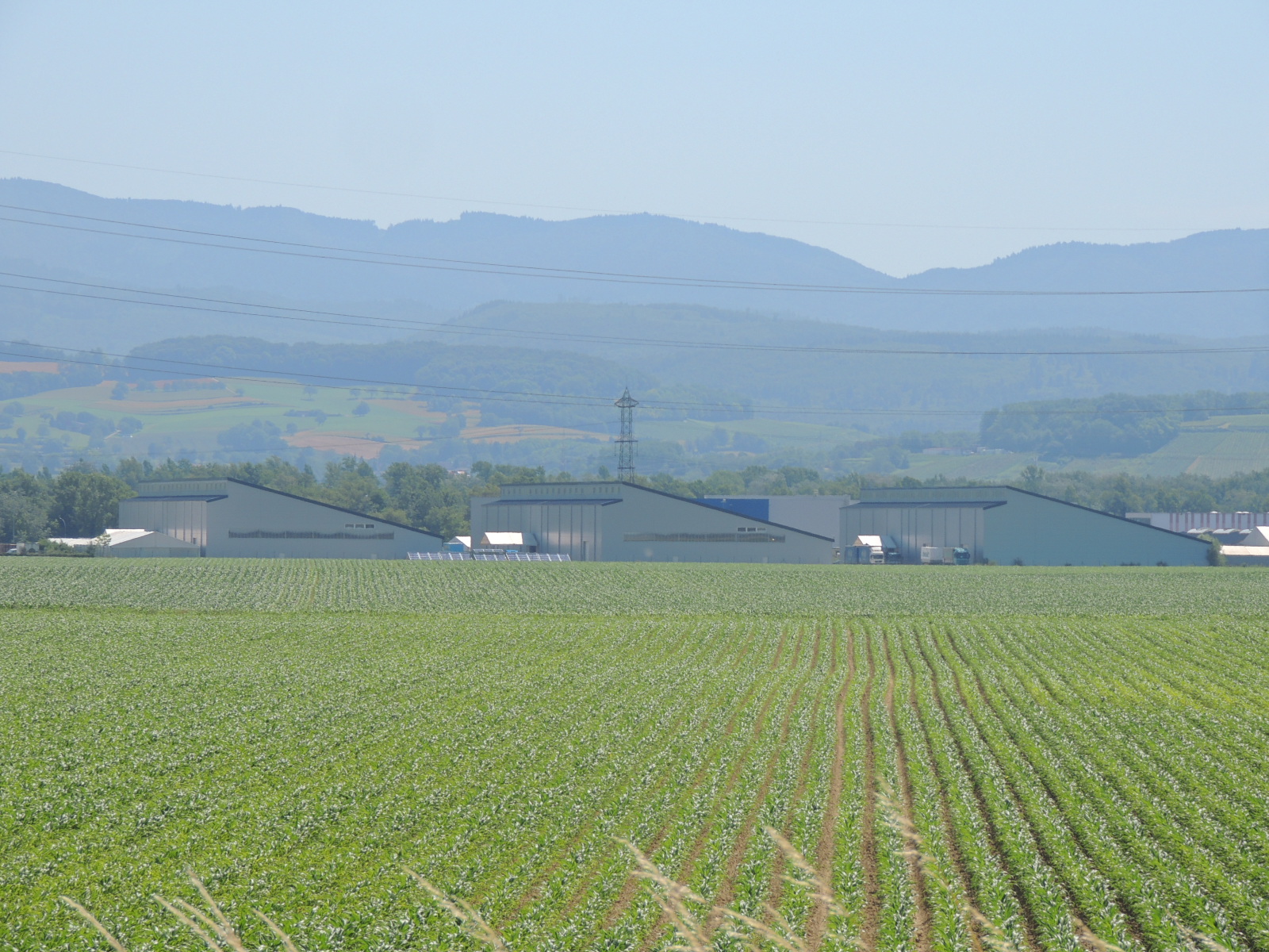 2016 Hombourg  Centrale photovoltaique 2