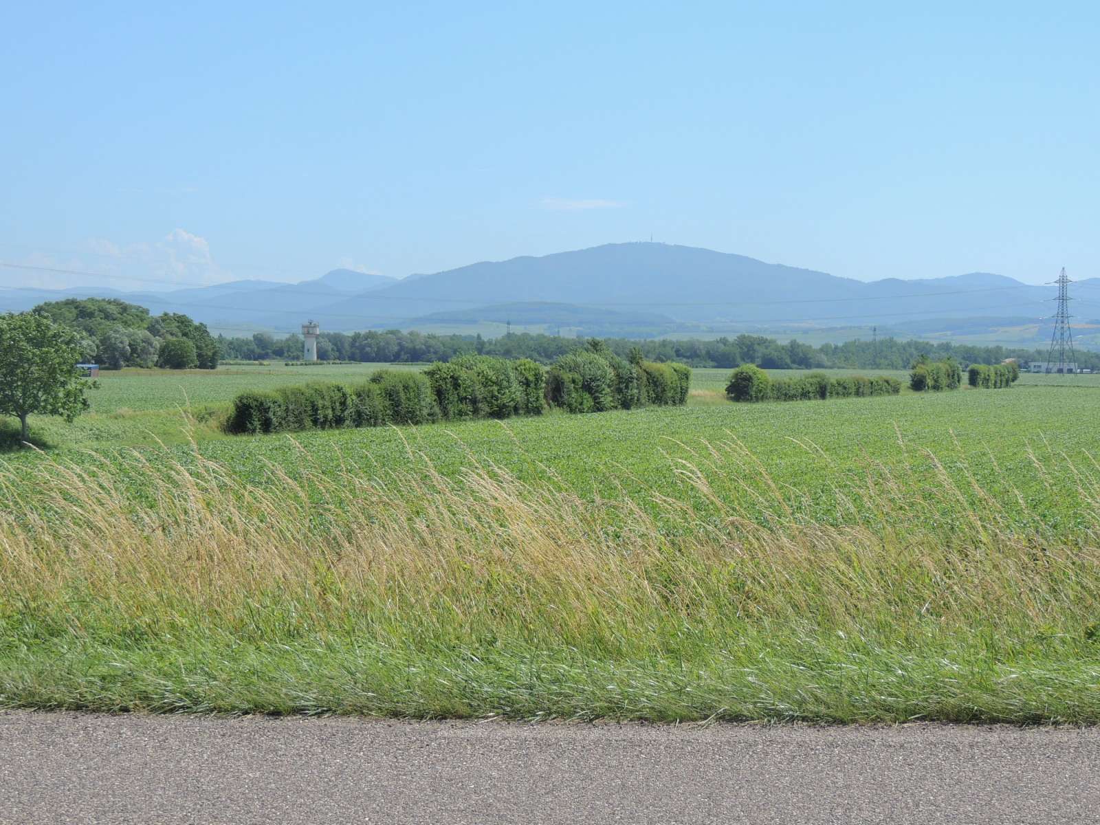 2016 Hombourg  Corridor 2cologique