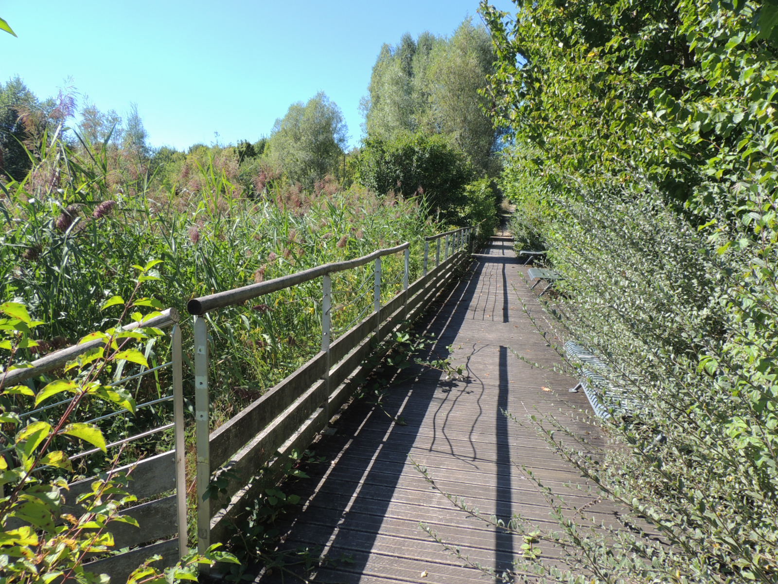 2016 Mulhouse Parc Colline