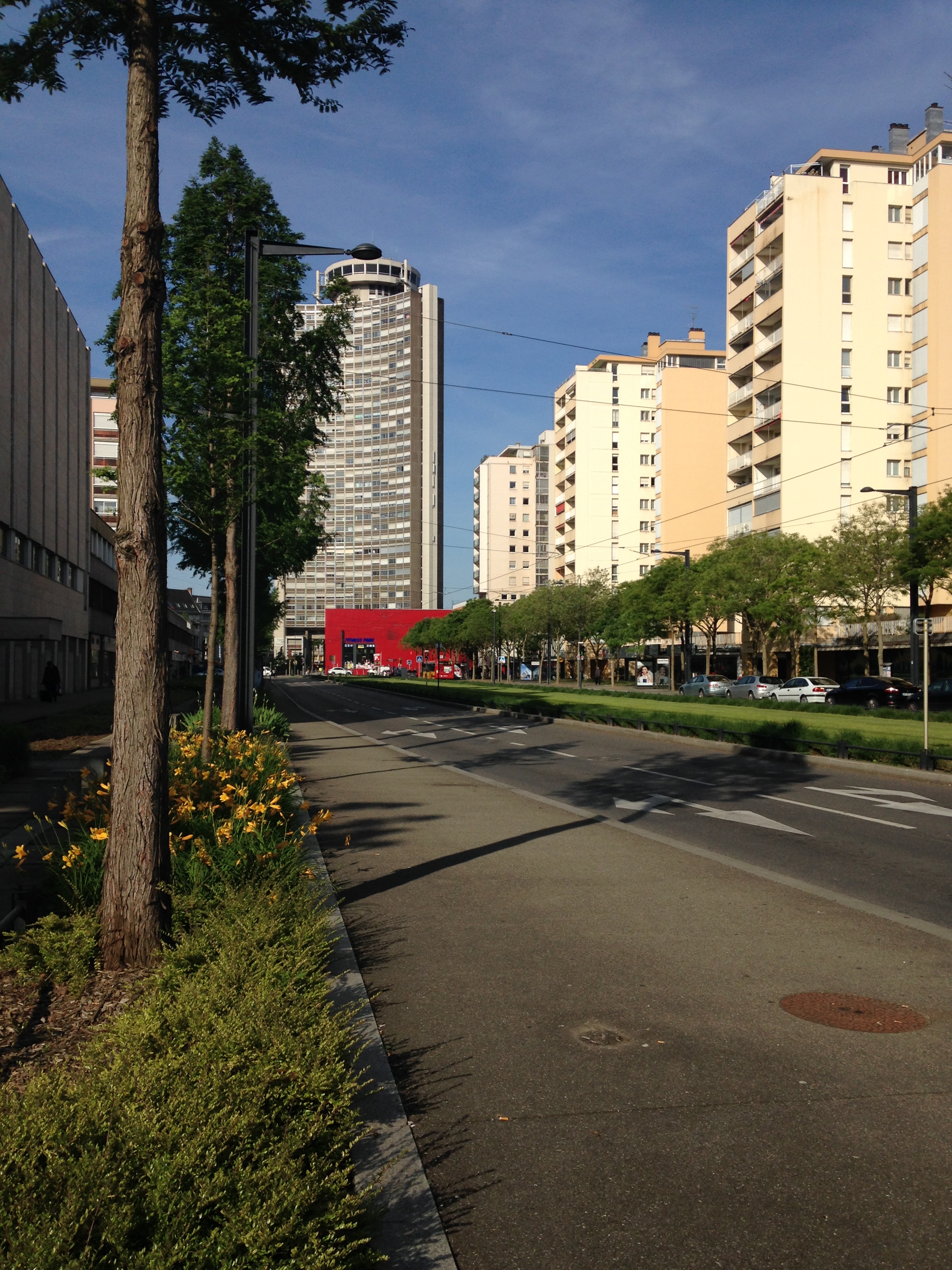 2016 Mulhouse Porte Jeune