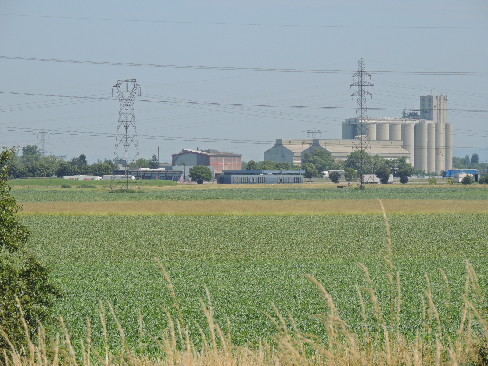 2016 Ottmarsheim  Plaine céréales silo Armbruster