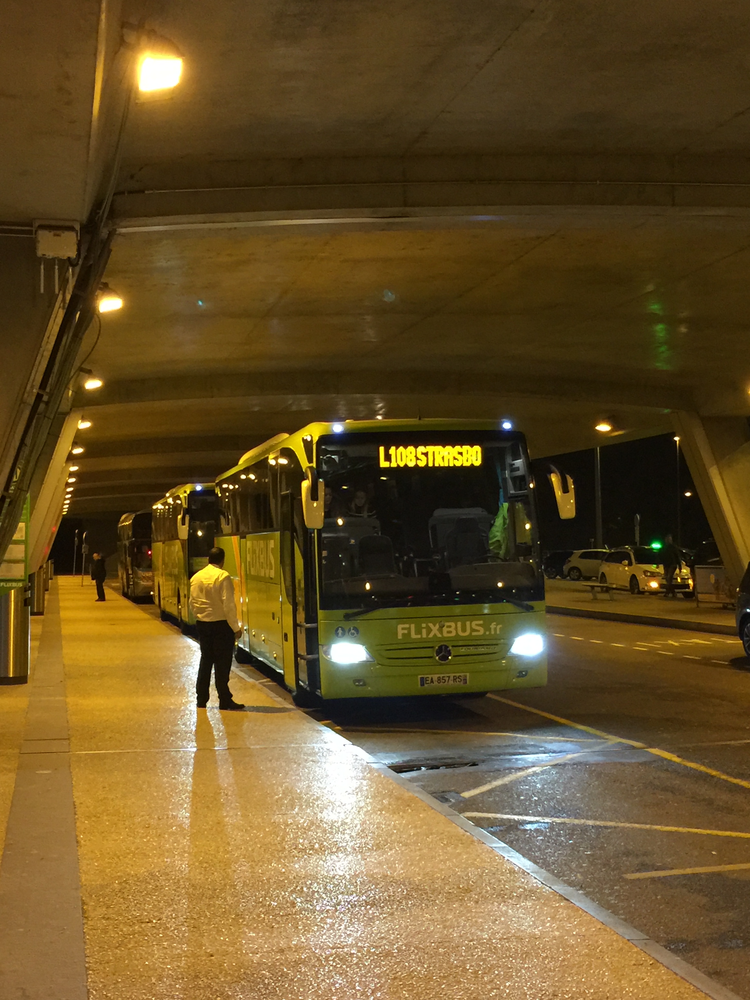 2016 Saint-Louis Euroairport Flexibus