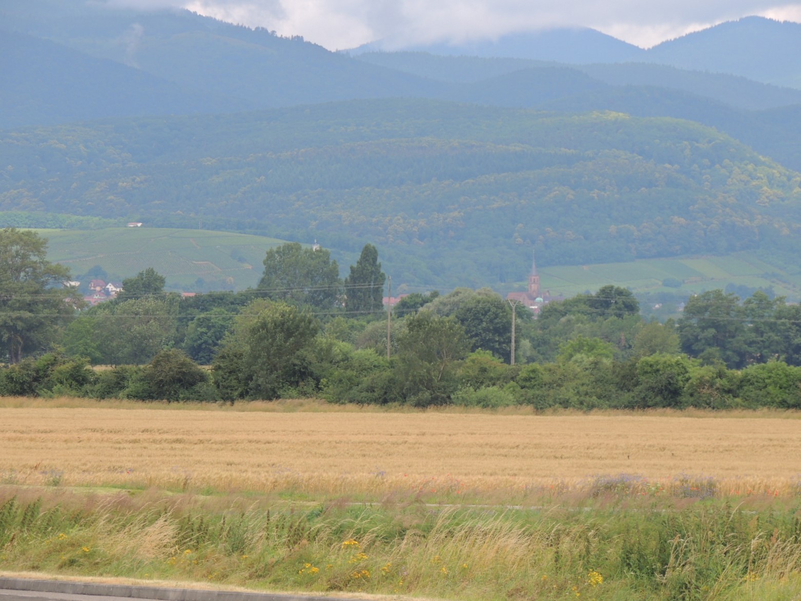 2016 Vosges  Vue vers Soultz