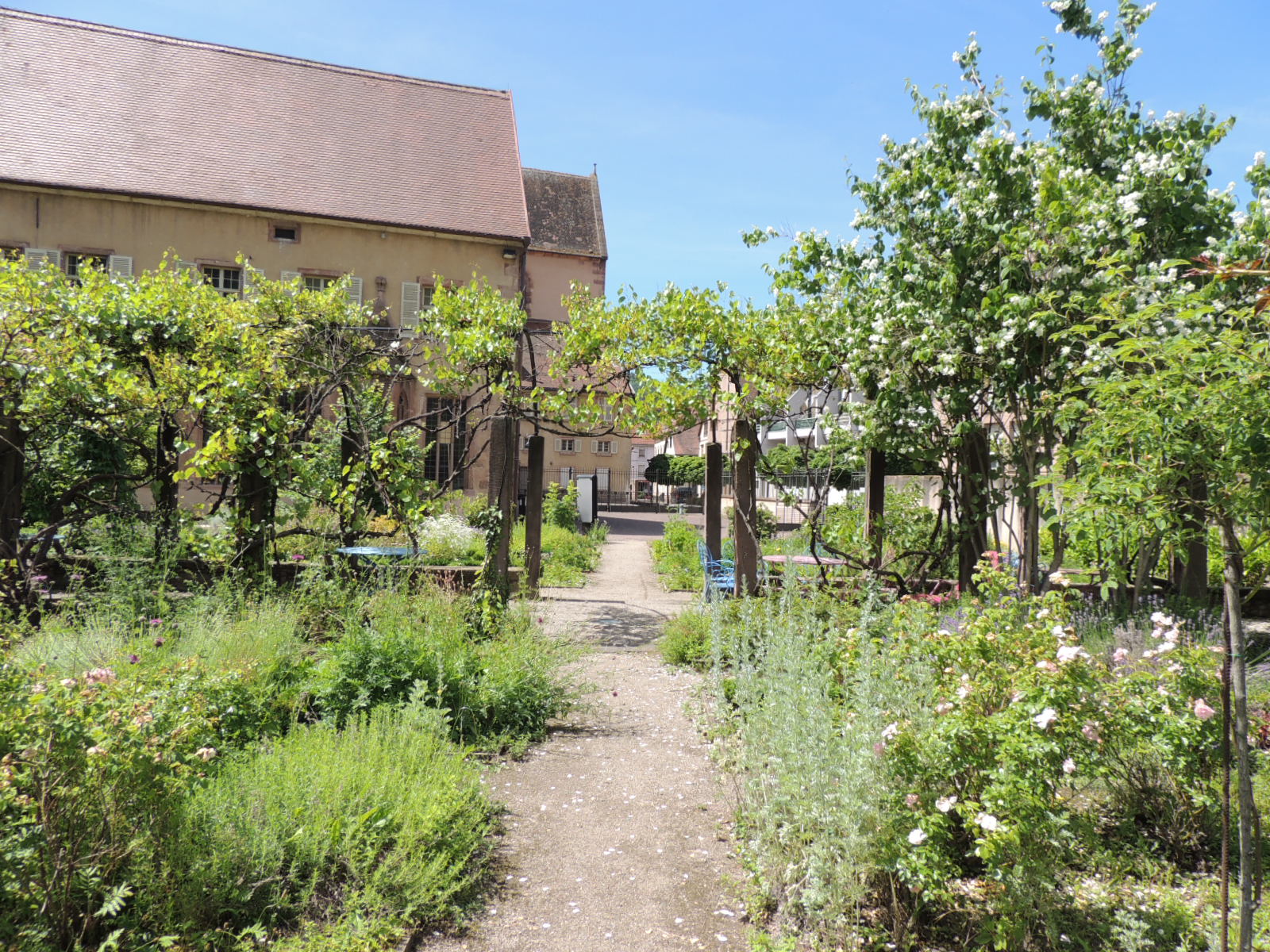 2017Guebwiller Jardin des Dominicains